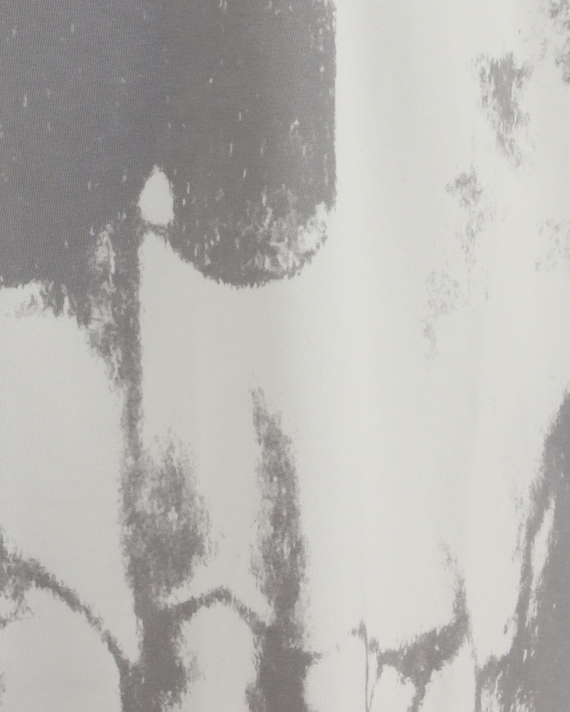 Alexander McQueen Skull-Print T-Shirt