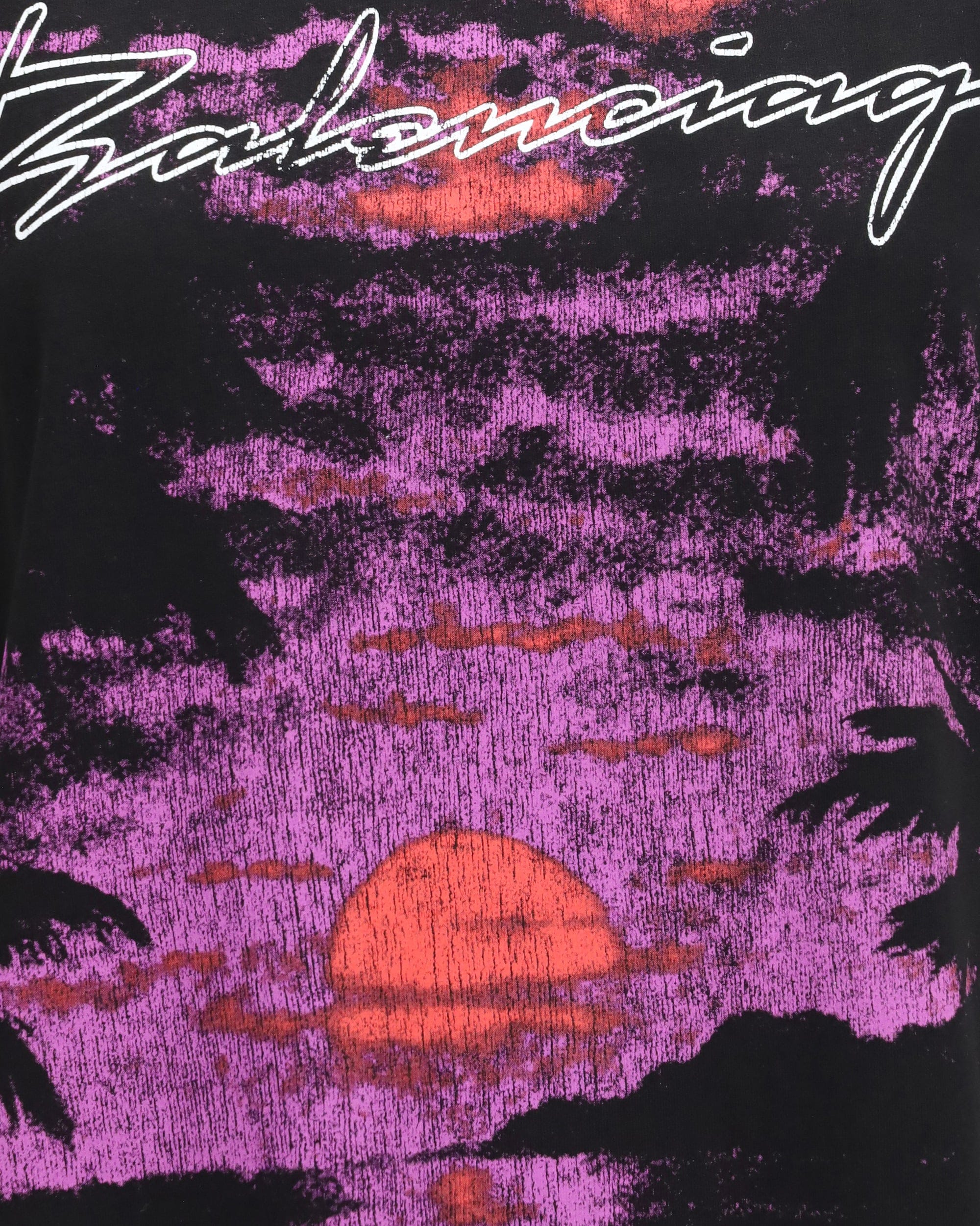 Balenciaga Balenciaga Printed Cotton T-Shirt