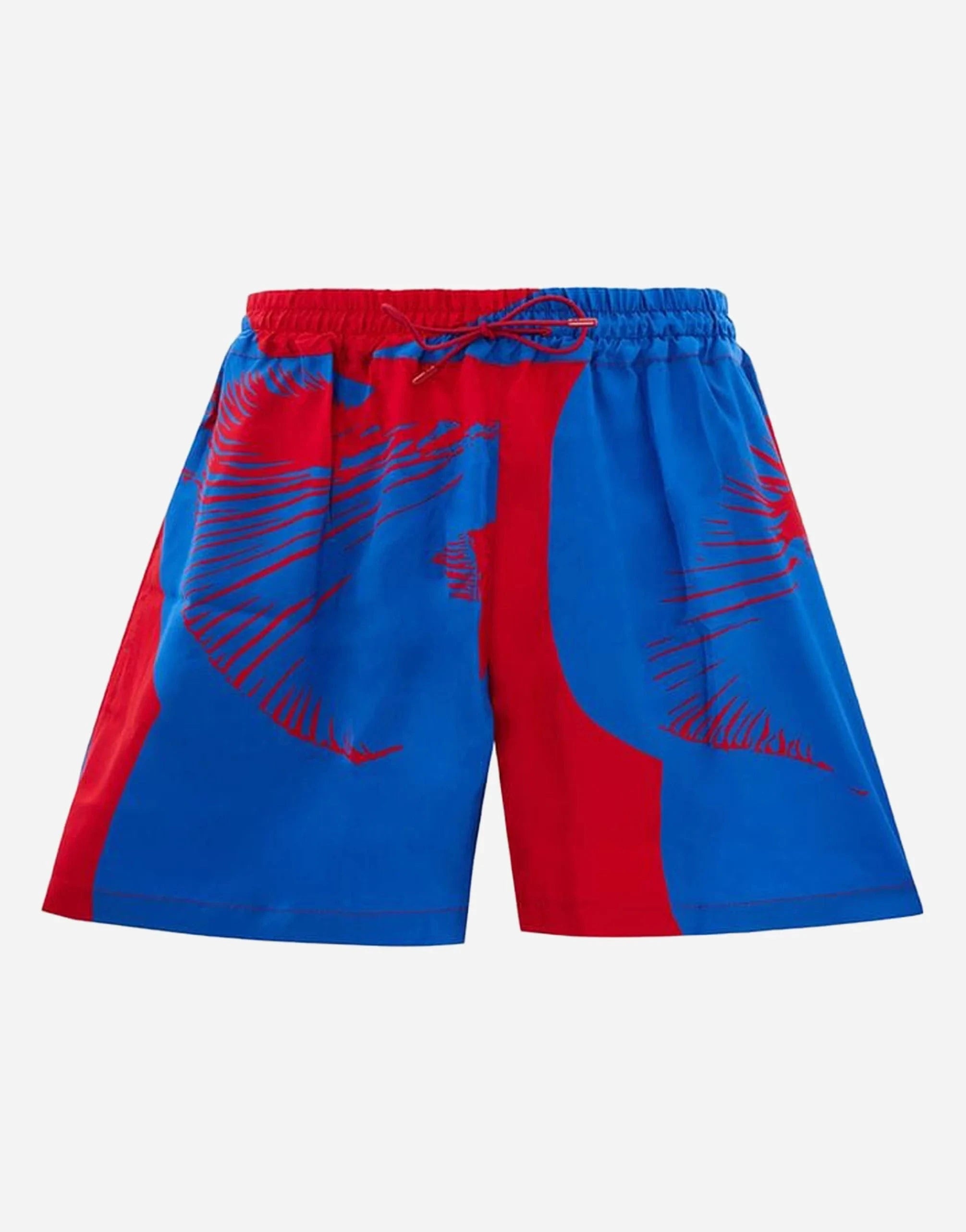 Bottega Veneta Printed Shorts
