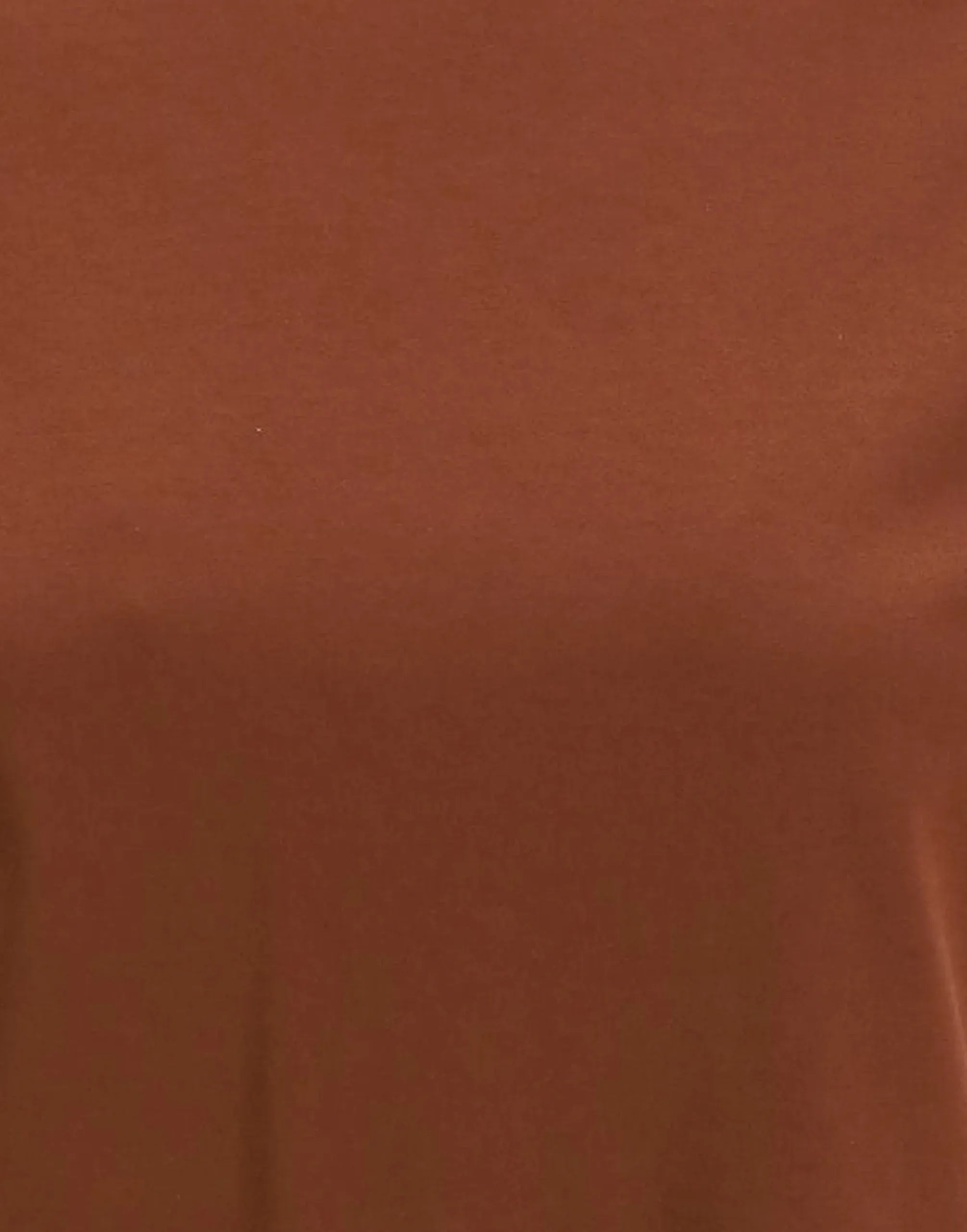 Brunello Cucinelli Brown Cotton Jersey Monili T-Shirt