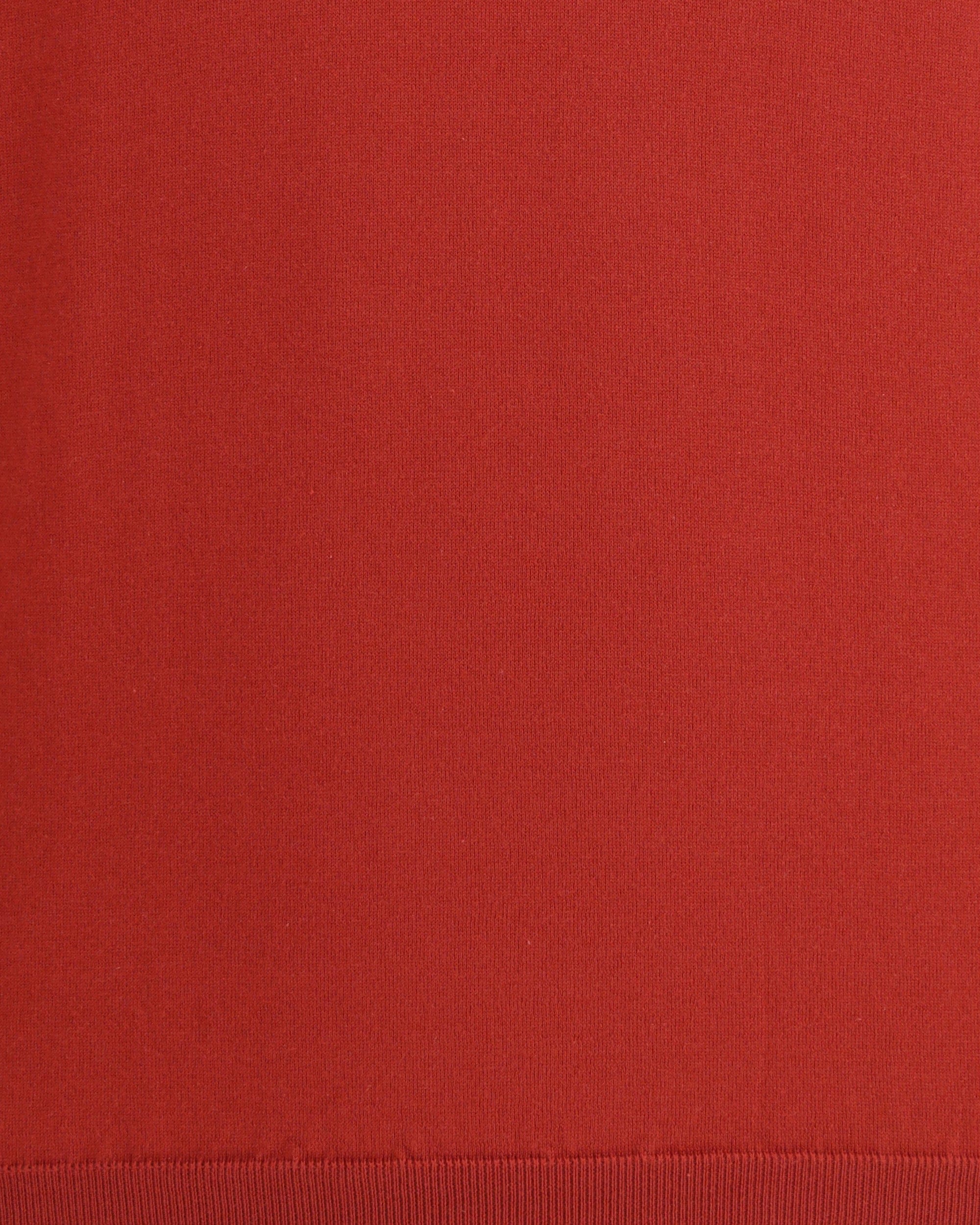 Brunello Cucinelli Cotton T-Shirt With Ribbed Crew Neck