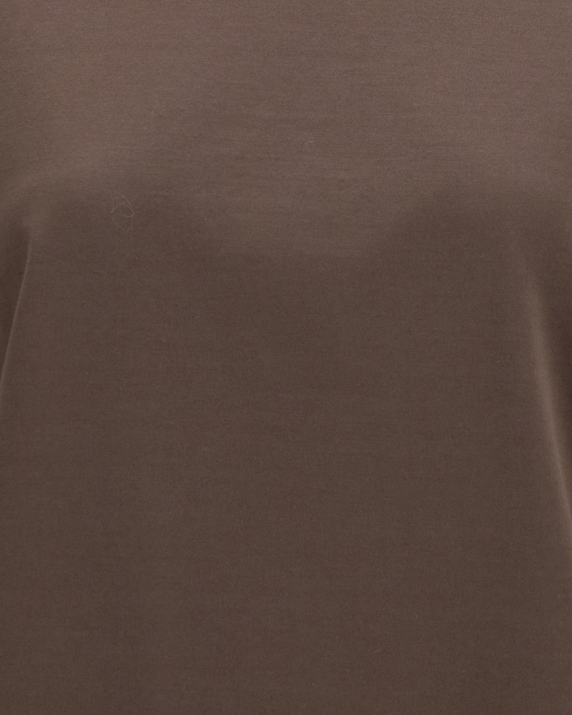 Brunello Cucinelli Brunello Cucinelli Cotton T-Shirt With Sheer Sleeves