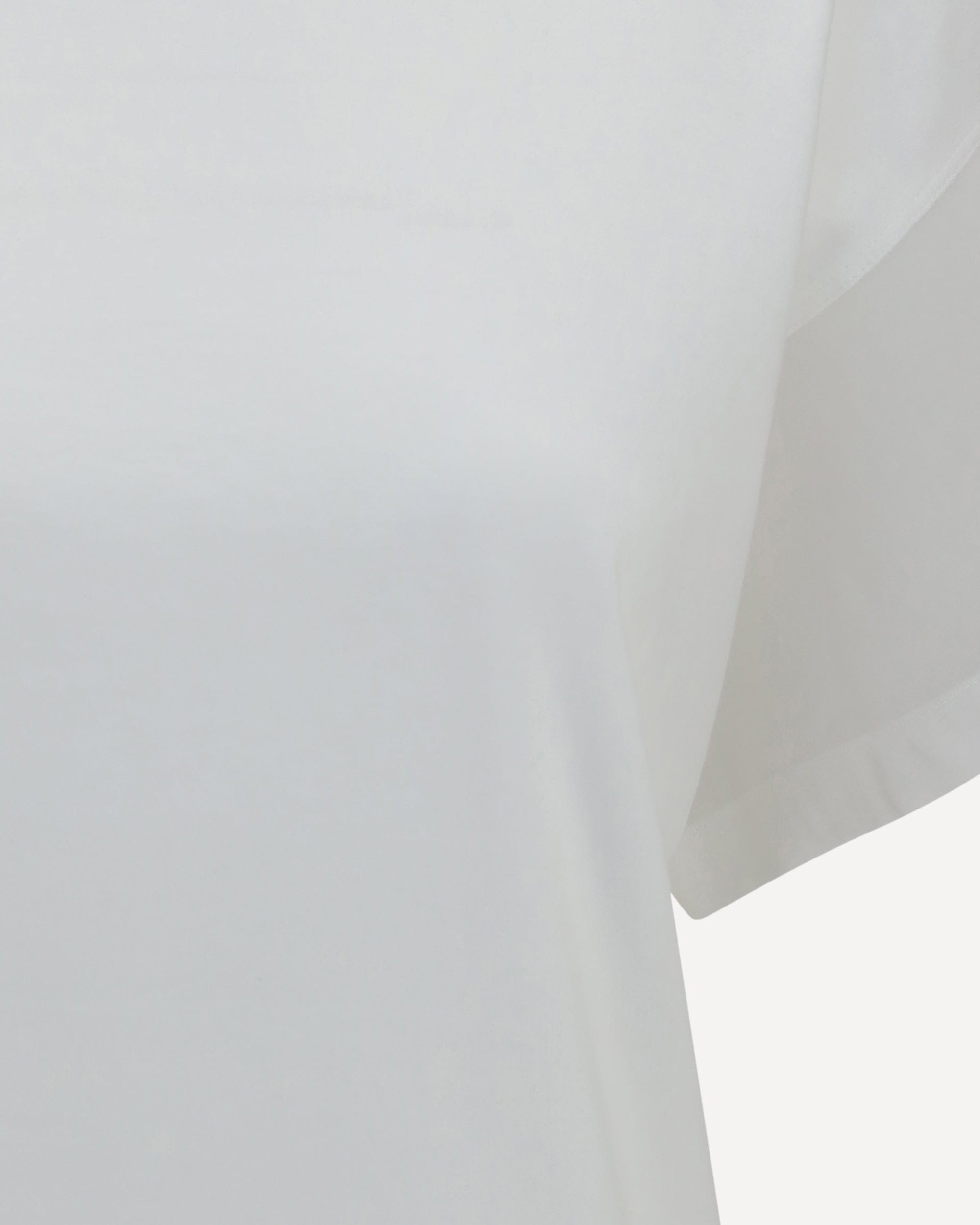 Brunello Cucinelli Brunello Cucinelli Cotton T-Shirt With Sheer Sleeves