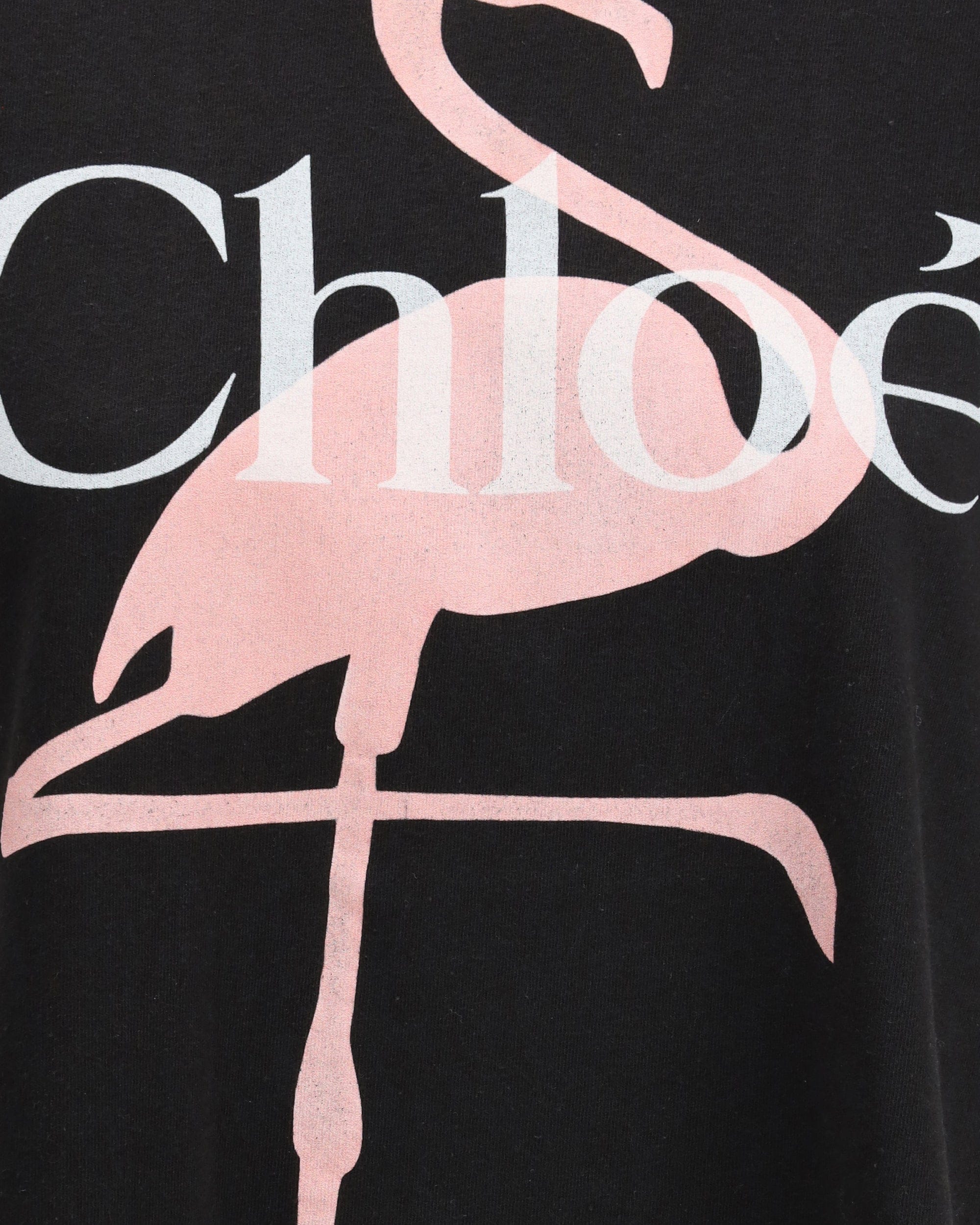 Chloé Oversized Cotton T-Shirt