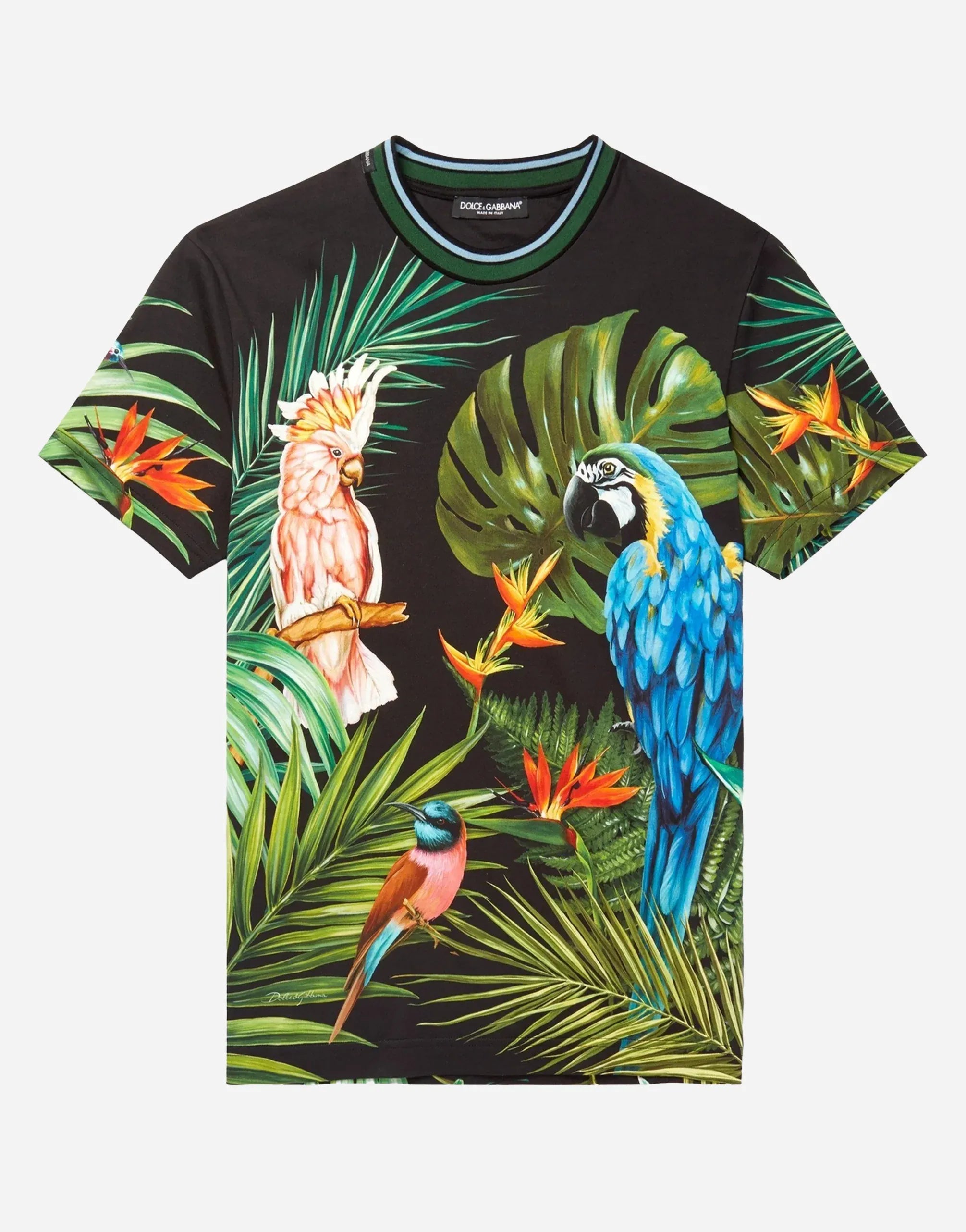 T-shirt en coton à imprimé oiseaux Dolce & Gabbana