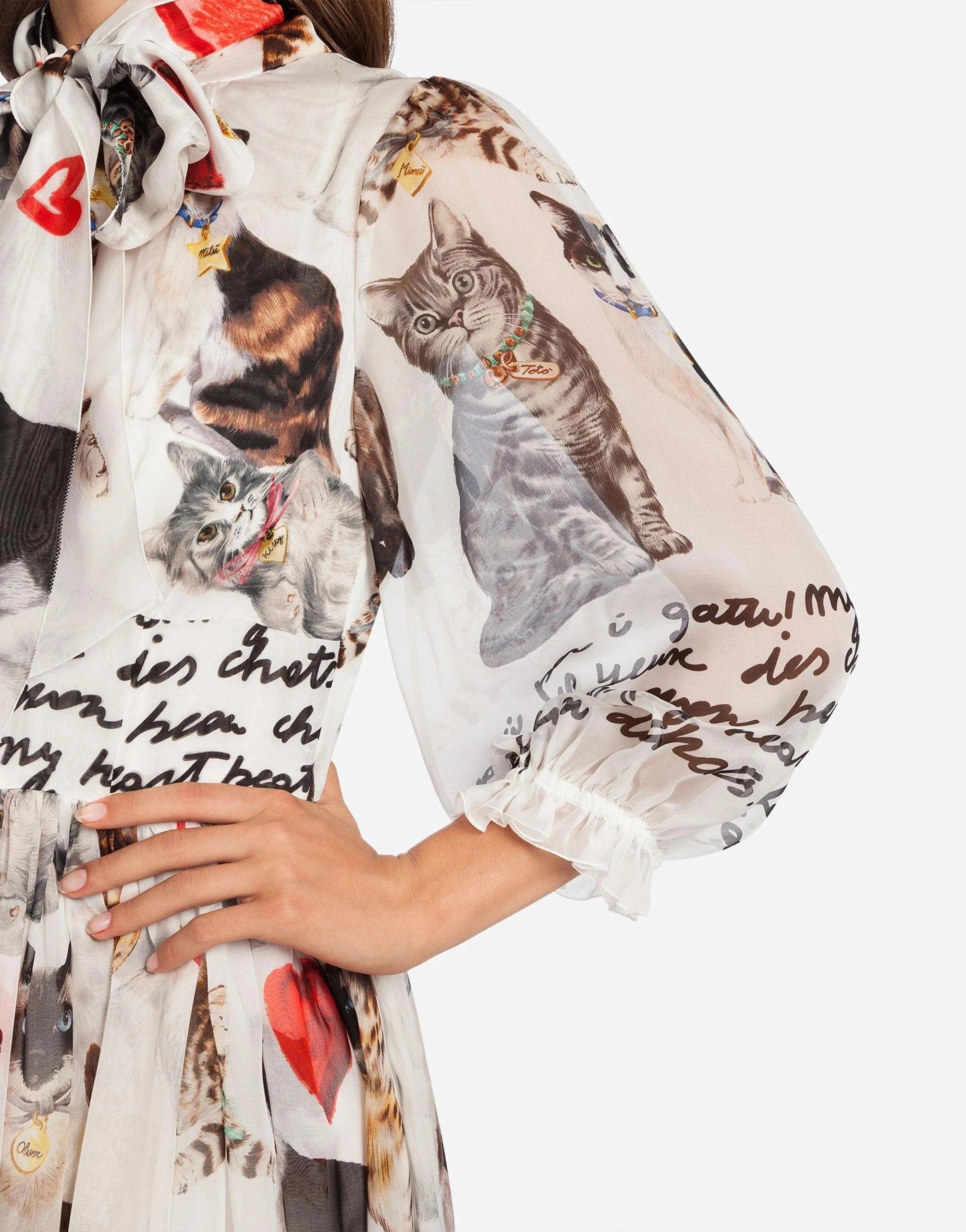 Dolce & Gabbana Cat-Print Tie-Neck Chiffon Gown