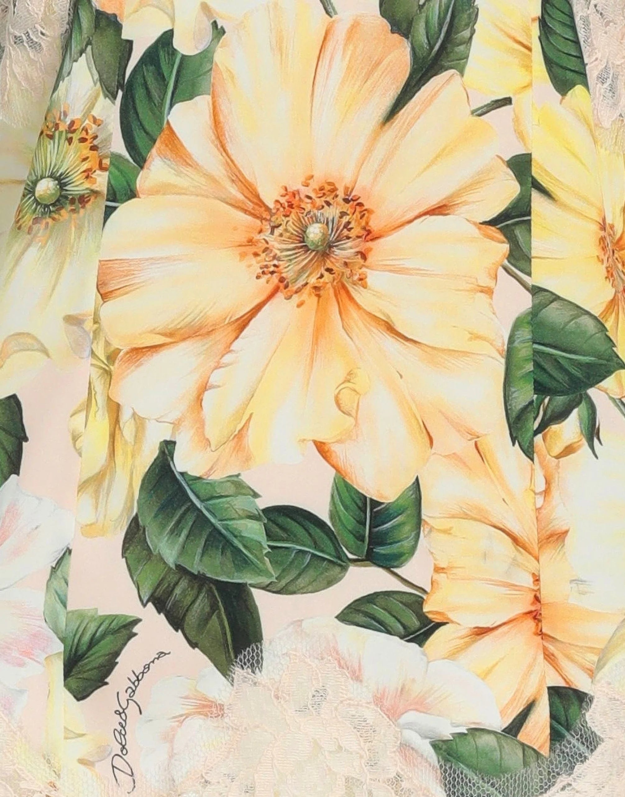 Dolce & Gabbana Dolce & Gabbana Floral Lace V Neck Blouse