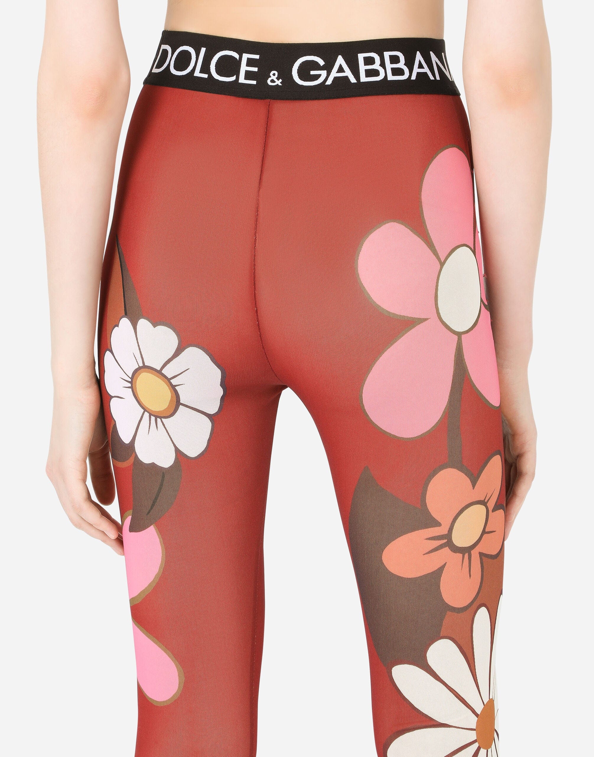 Dolce & Gabbana Floral-Print Marquisette Leggings