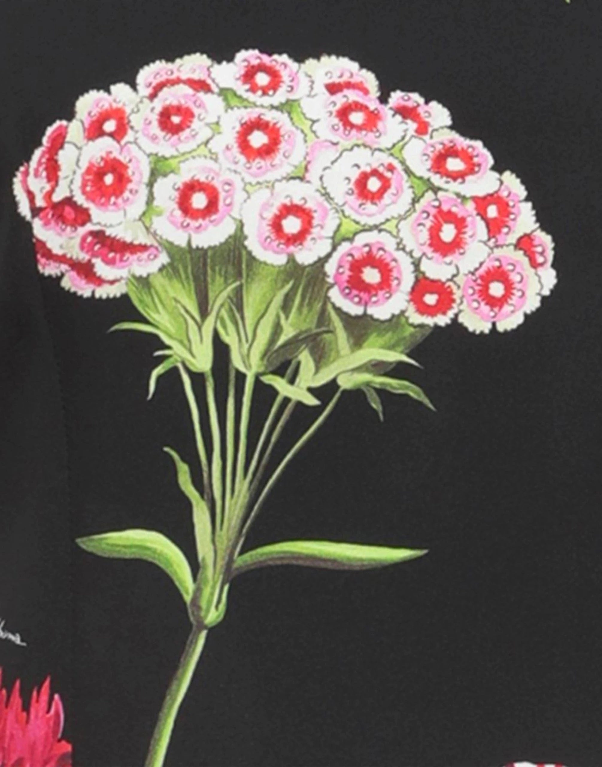Dolce & Gabbana Floral-Print Sleeveless Top
