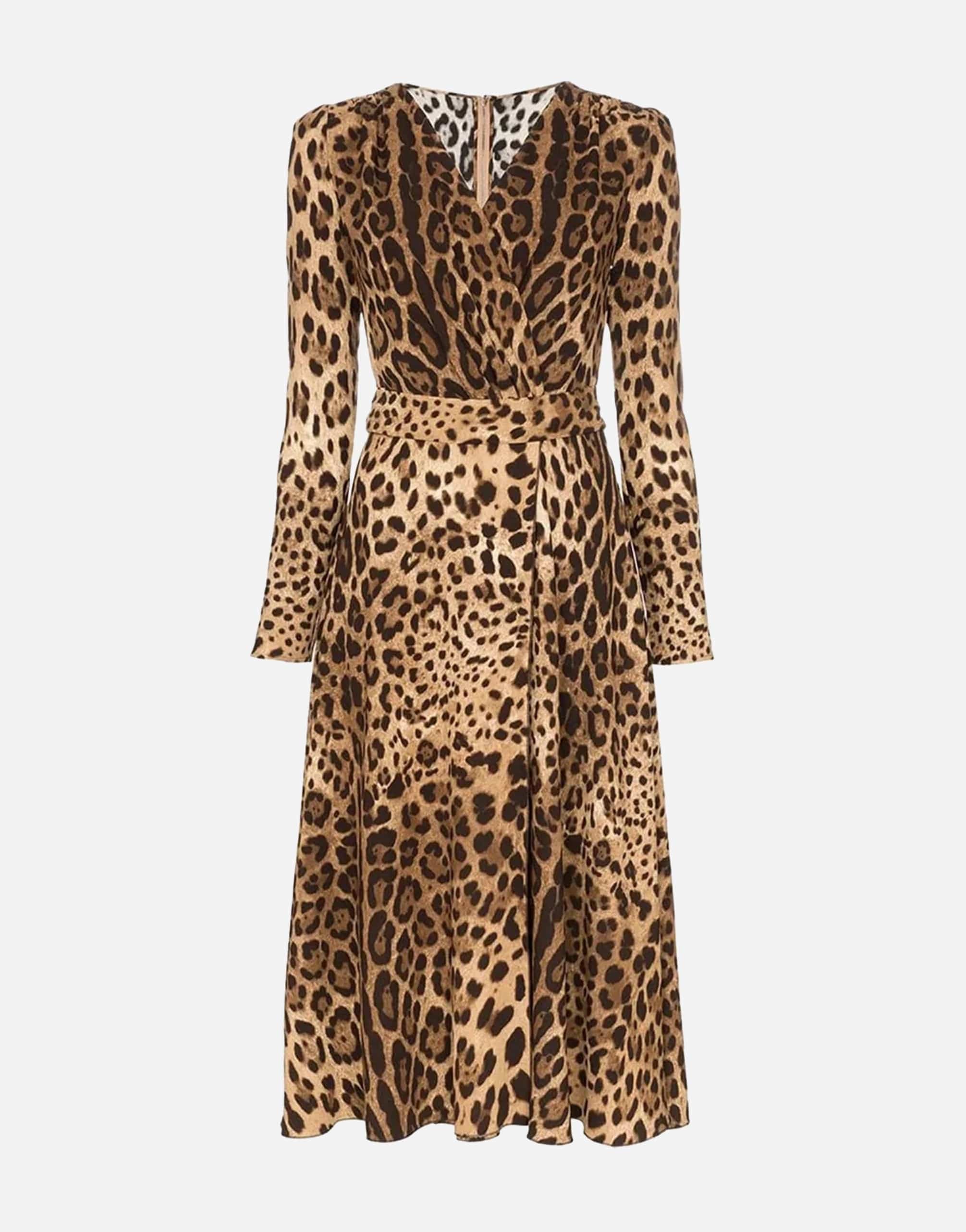 Leopard Print Flared Dress