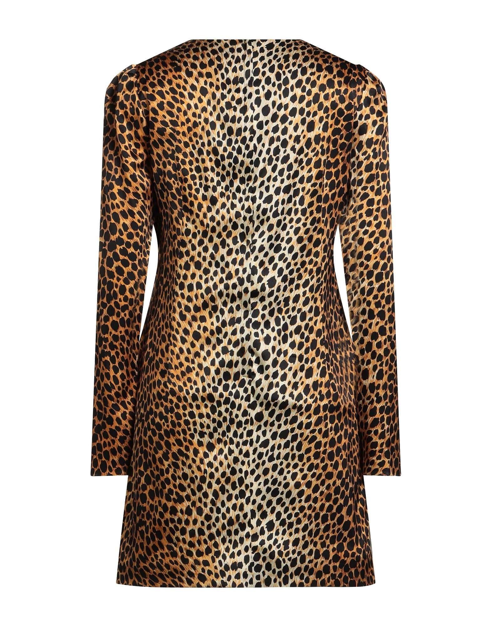 Dolce & Gabbana Dolce & Gabbana Leopard Print Long Sleeve Mini Dress