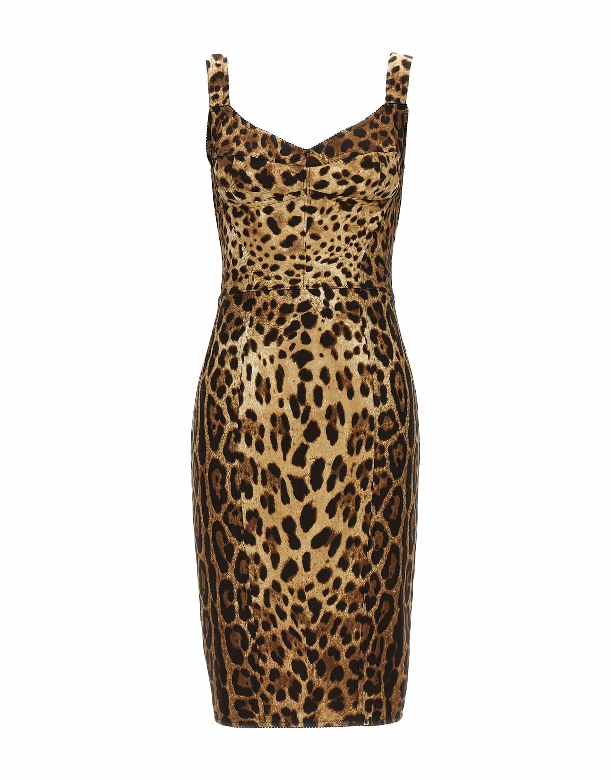 Dolce & Gabbana Dolce & Gabbana Leopardo Corset Dress