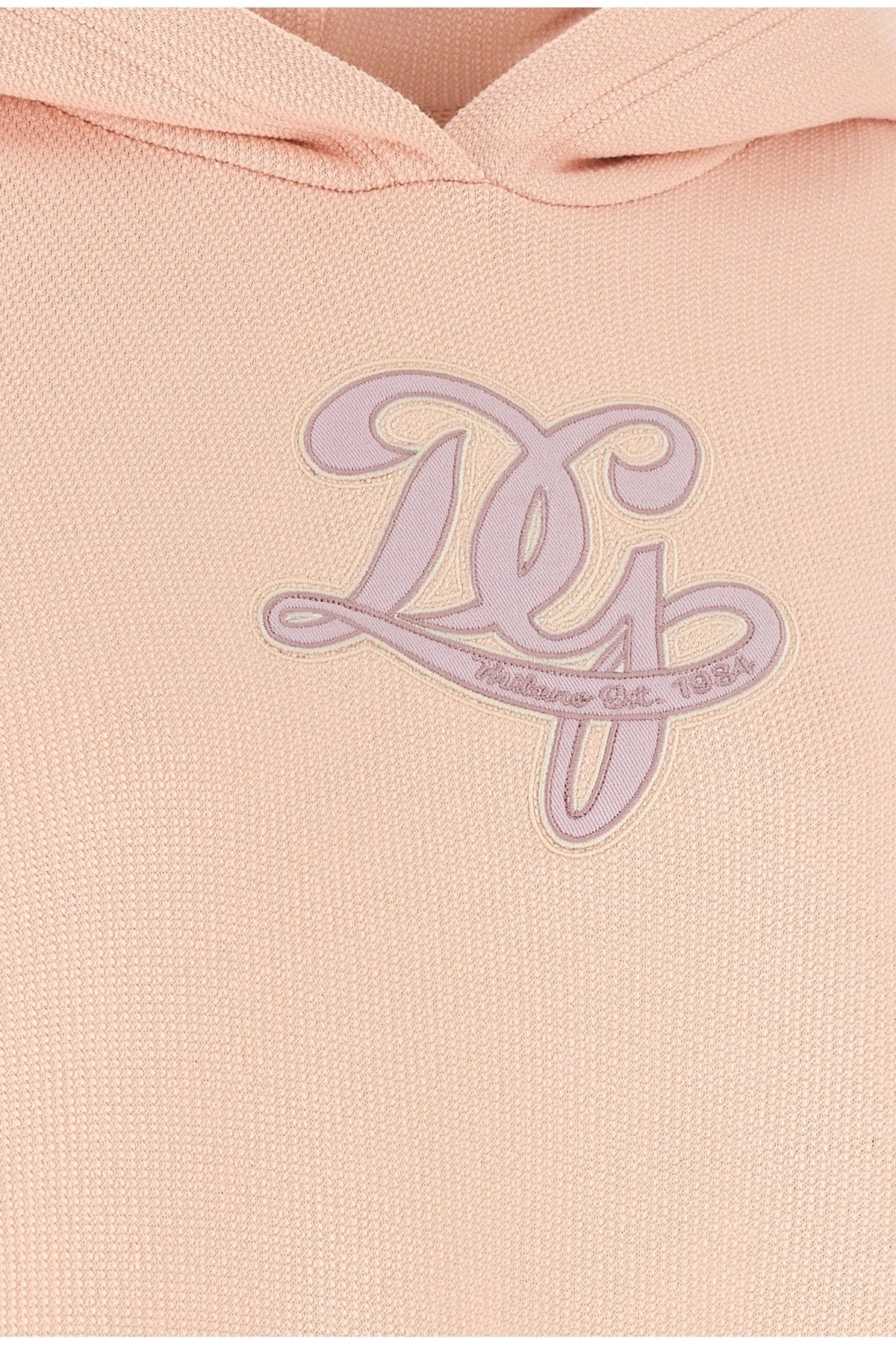 Dolce & Gabbana Dolce & Gabbana Logo Embroidery Hoodie
