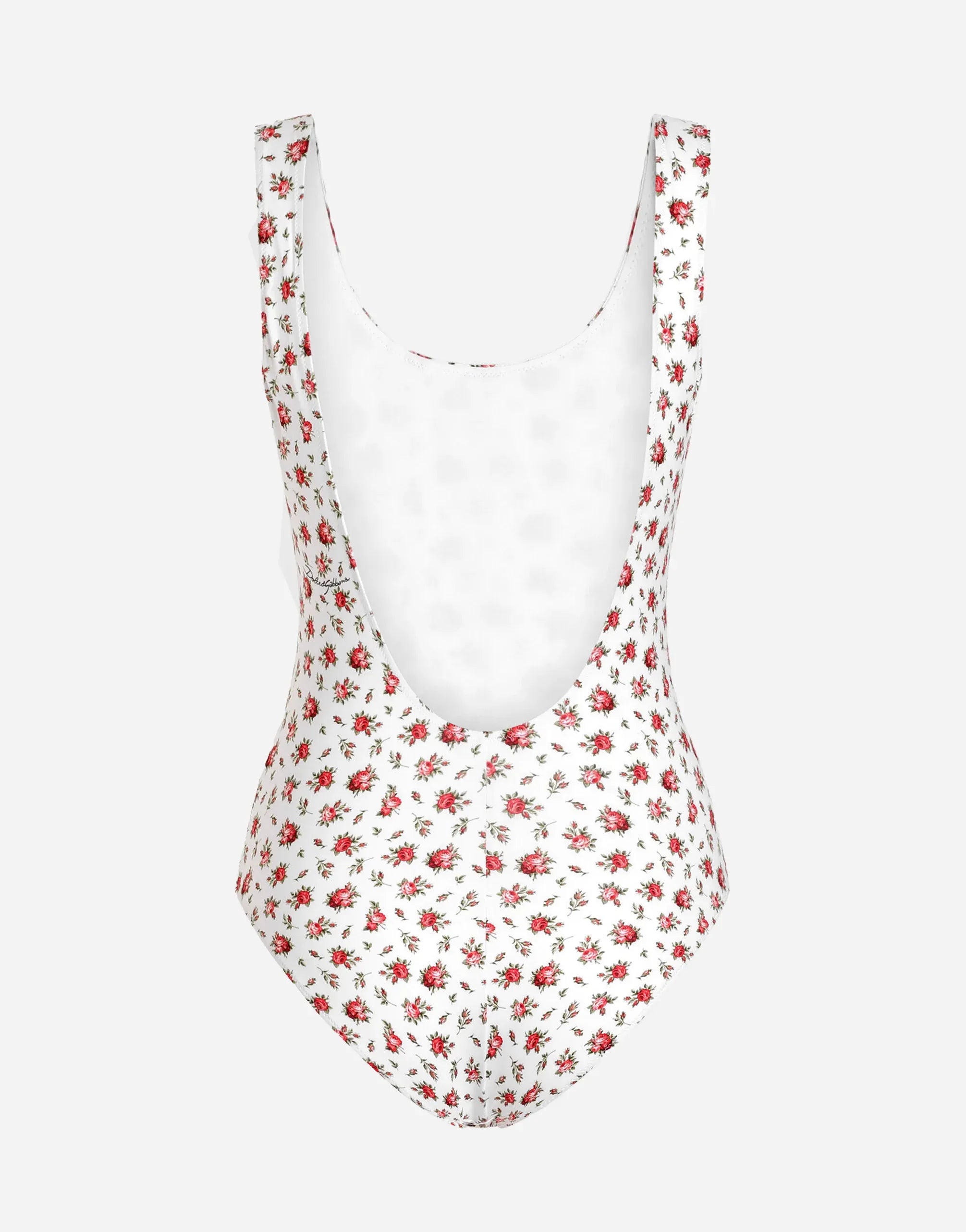 Dolce & Gabbana Rose-Print One-Piece Swimsuit