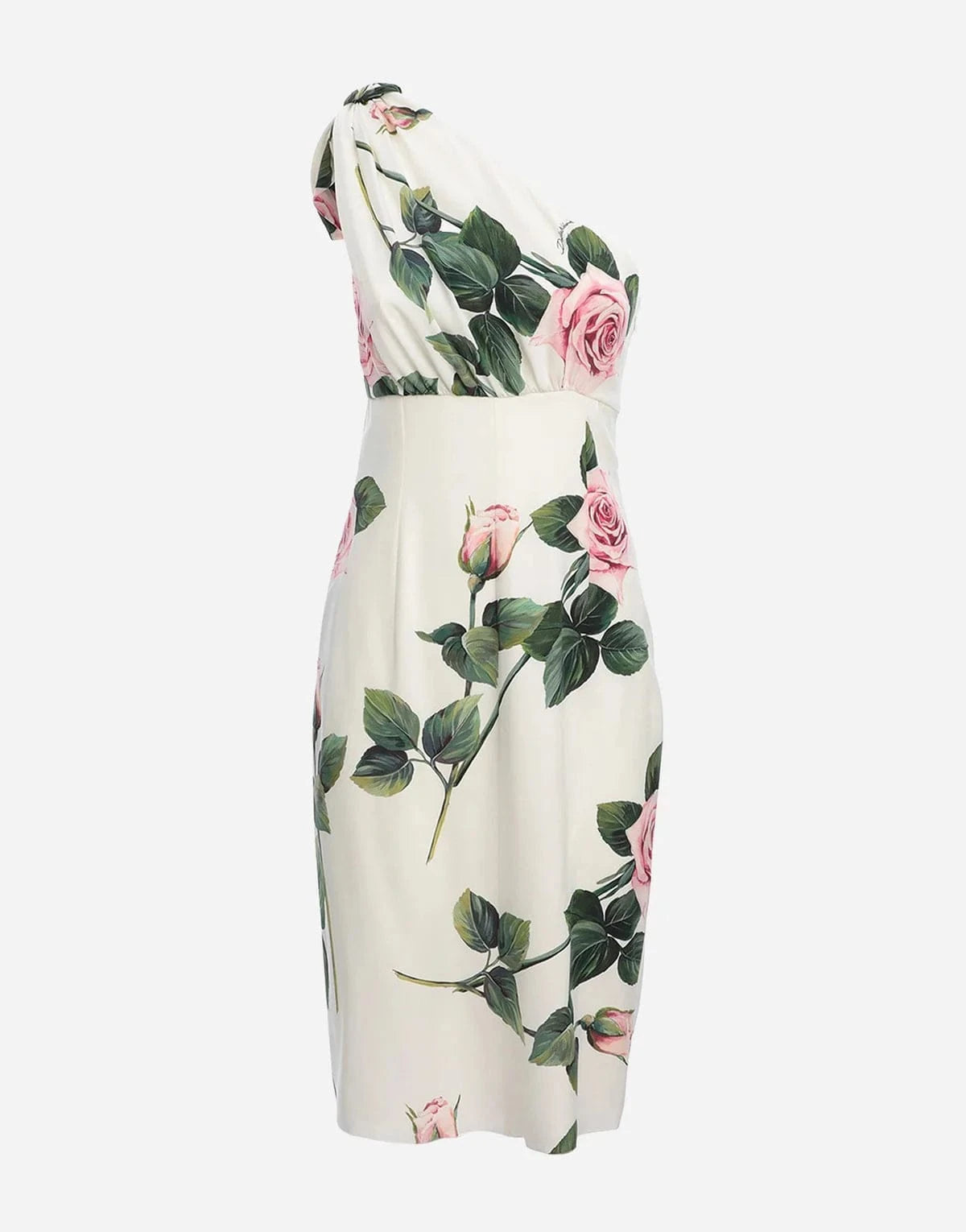 Dolce & Gabbana Tropical Rose Printed Dress