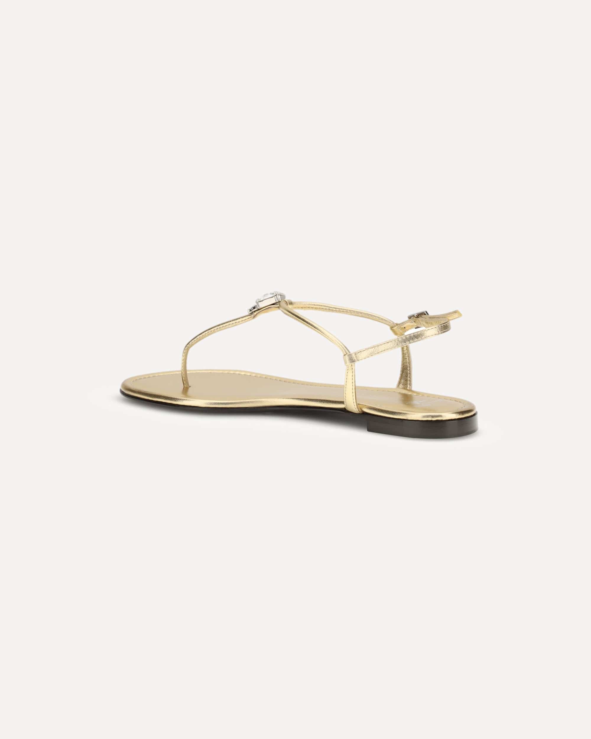 Giuseppe Zanotti Pia Mizuki Sandals