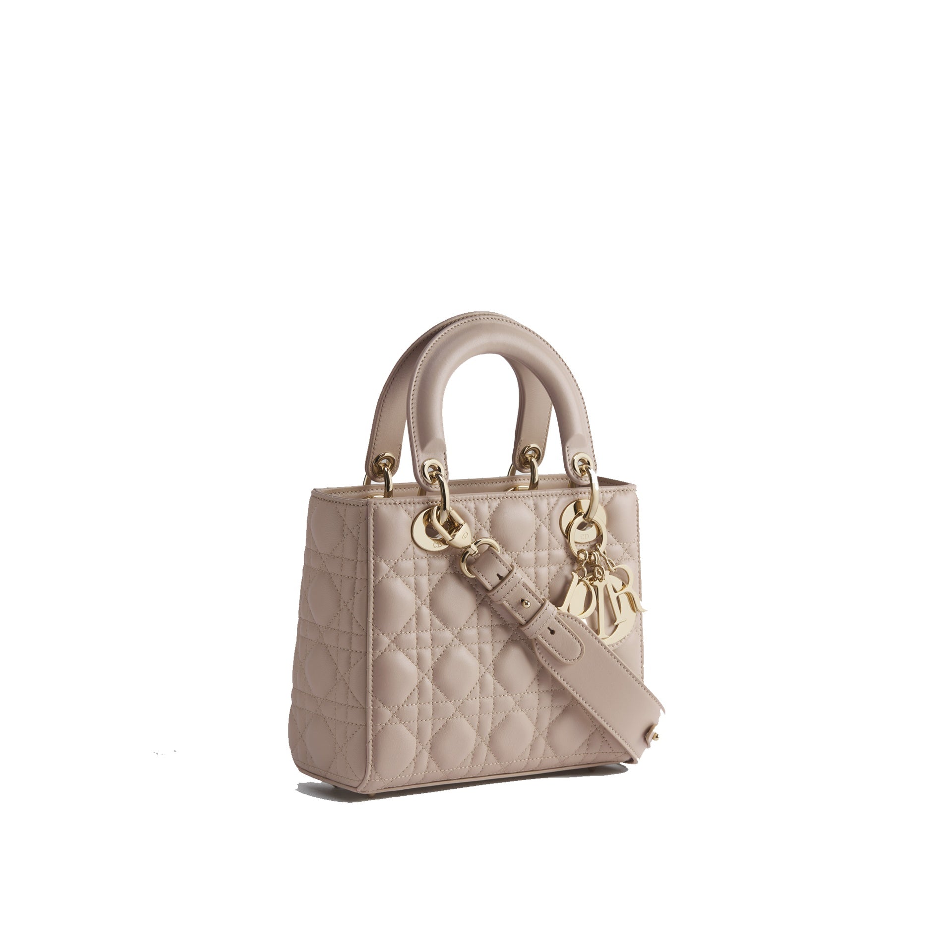 Dior Lady Bag