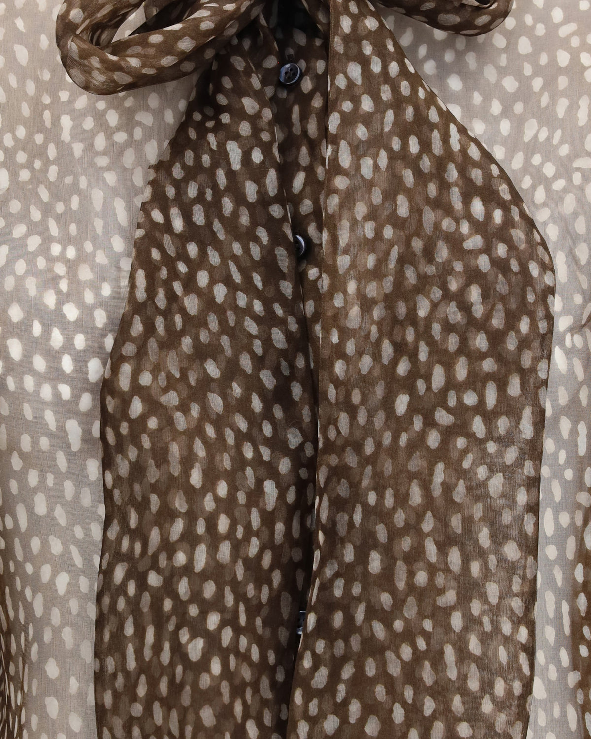 Brunello Cucinelli Dapple Silk Organza Shirt