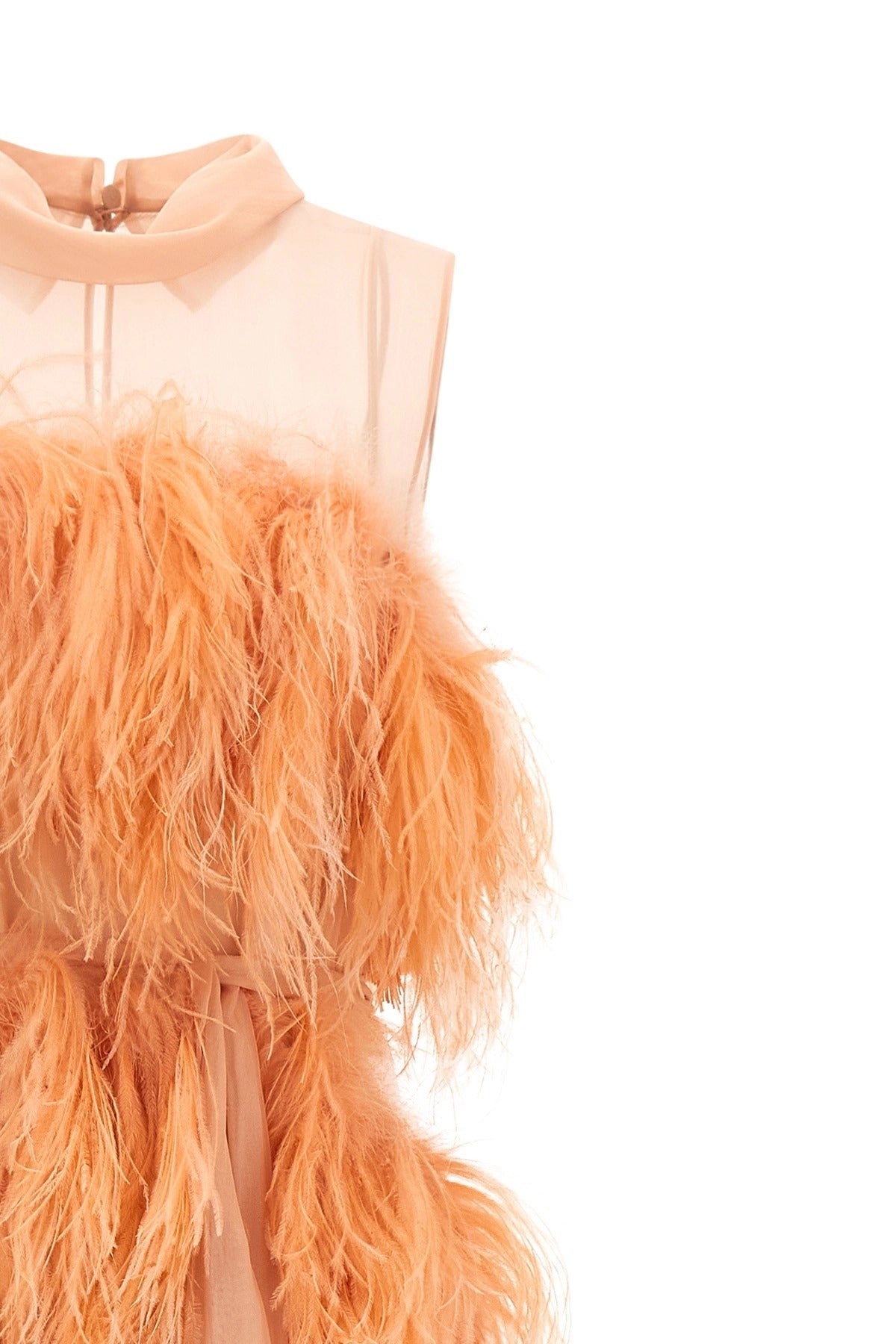 Alberta Ferretti Chiffon And Feather Dress