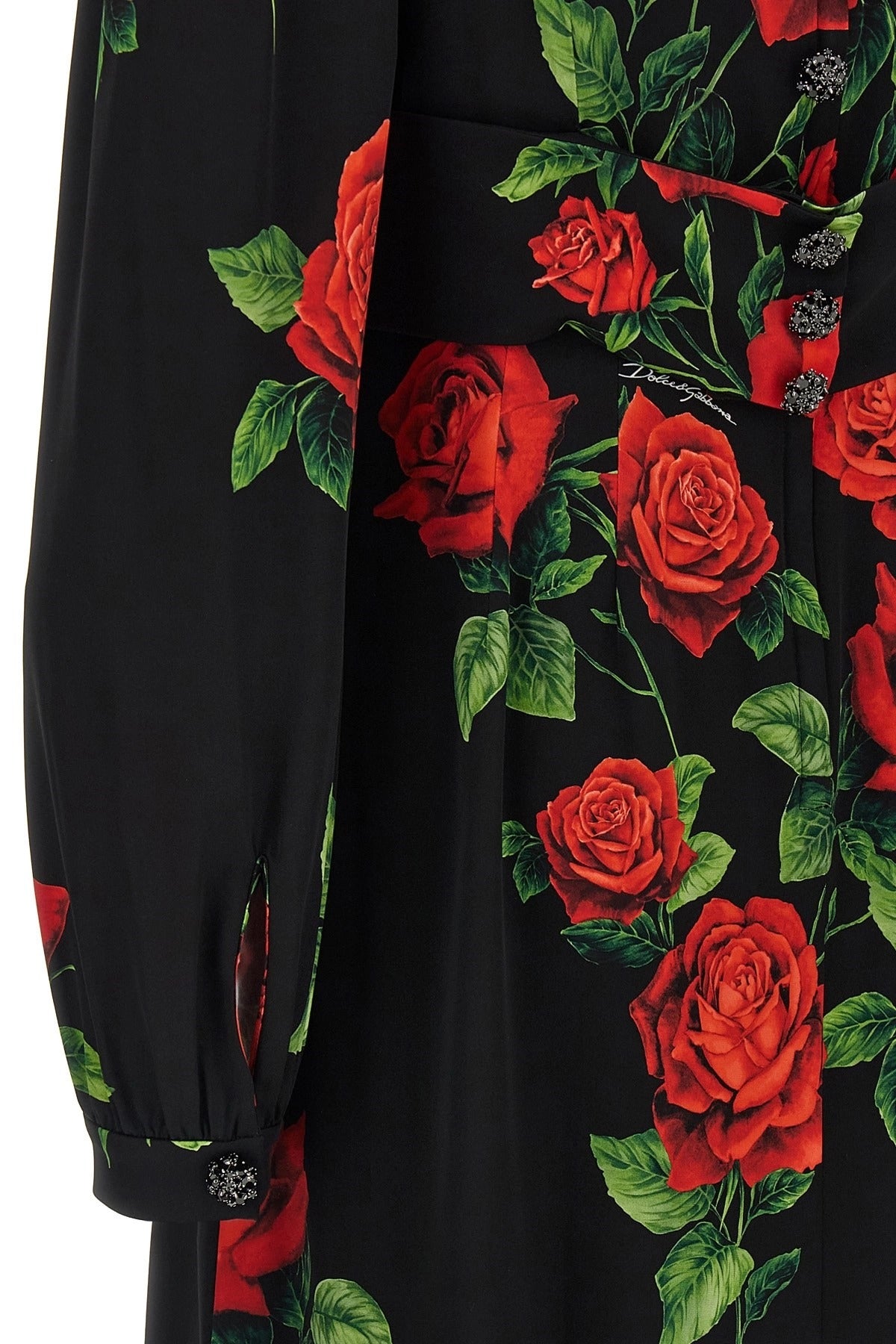 Dolce & Gabbana Rose Print Dress