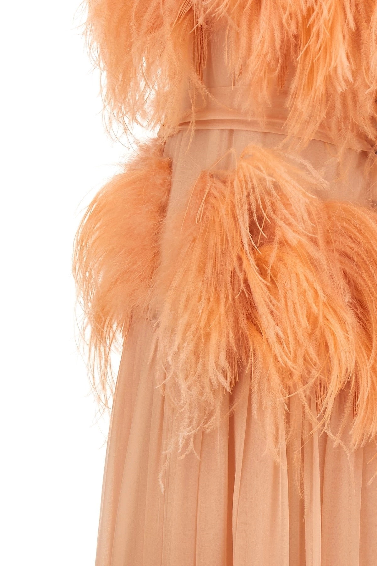 Alberta Ferretti Chiffon And Feather Dress