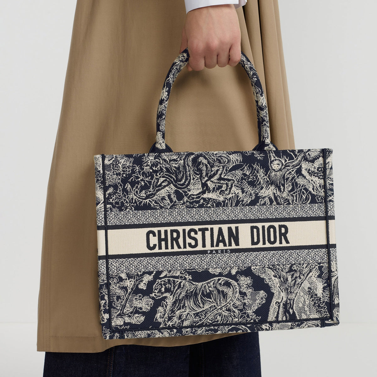 Dior Book Tote