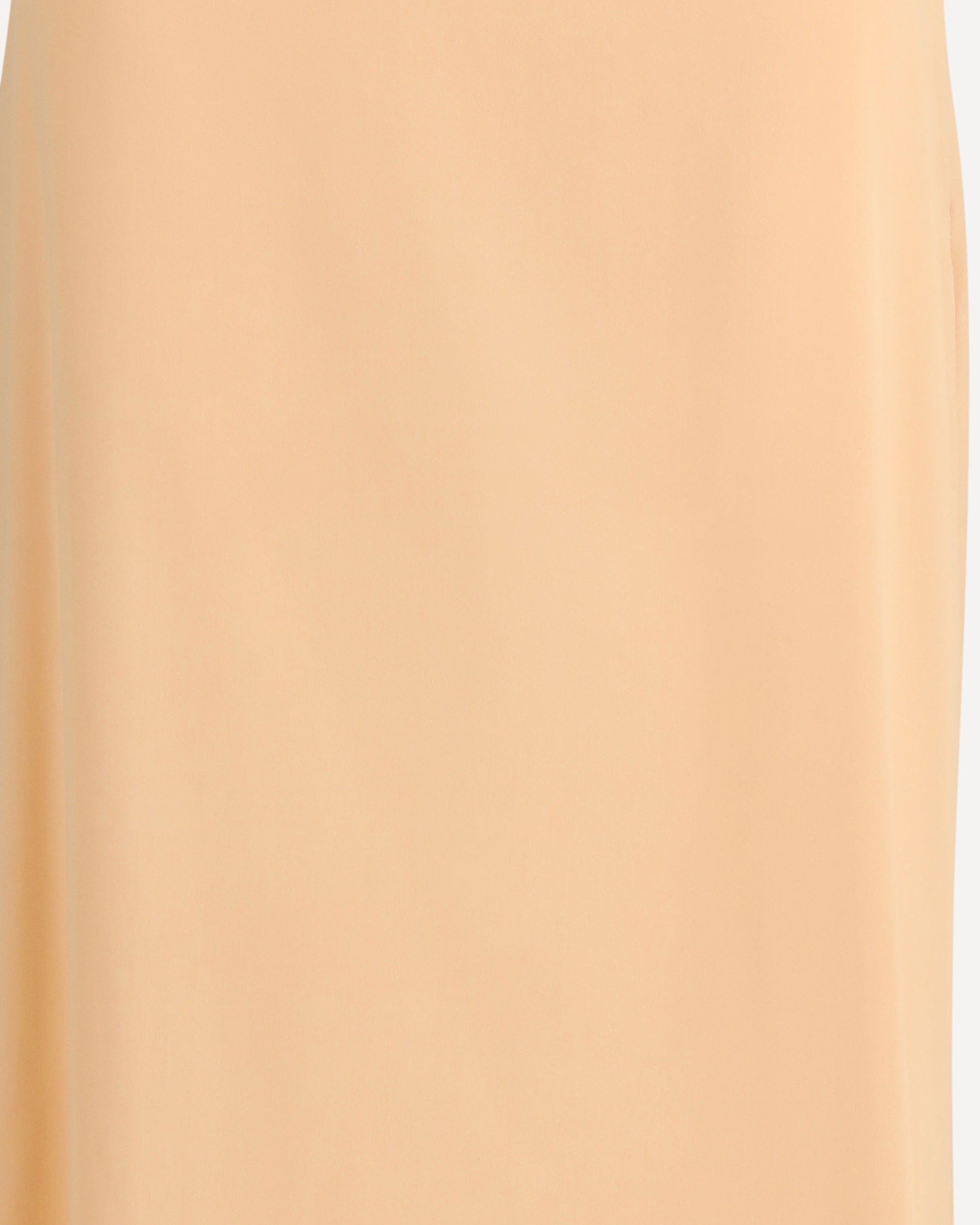 Kristina Ti Classic Long Silk Maxi Skirt