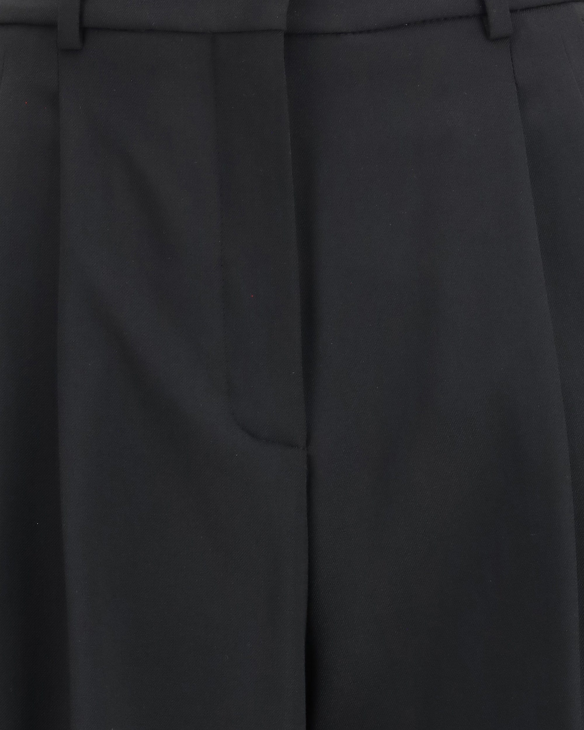 Max Mara Wide-Leg Pleated Pants