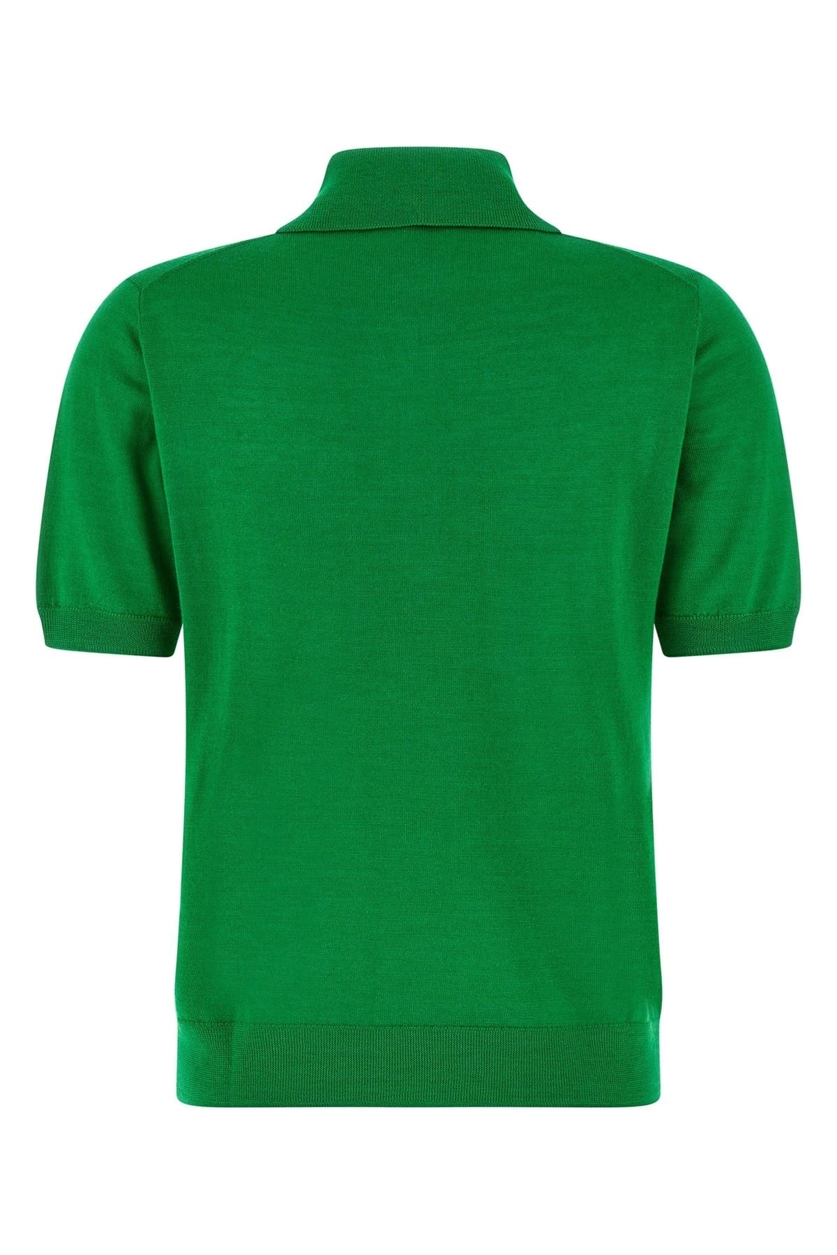 P.A.R.O.S.H. P.A.R.O.S.H. Linfa26 Wool Silk Polo Shirt