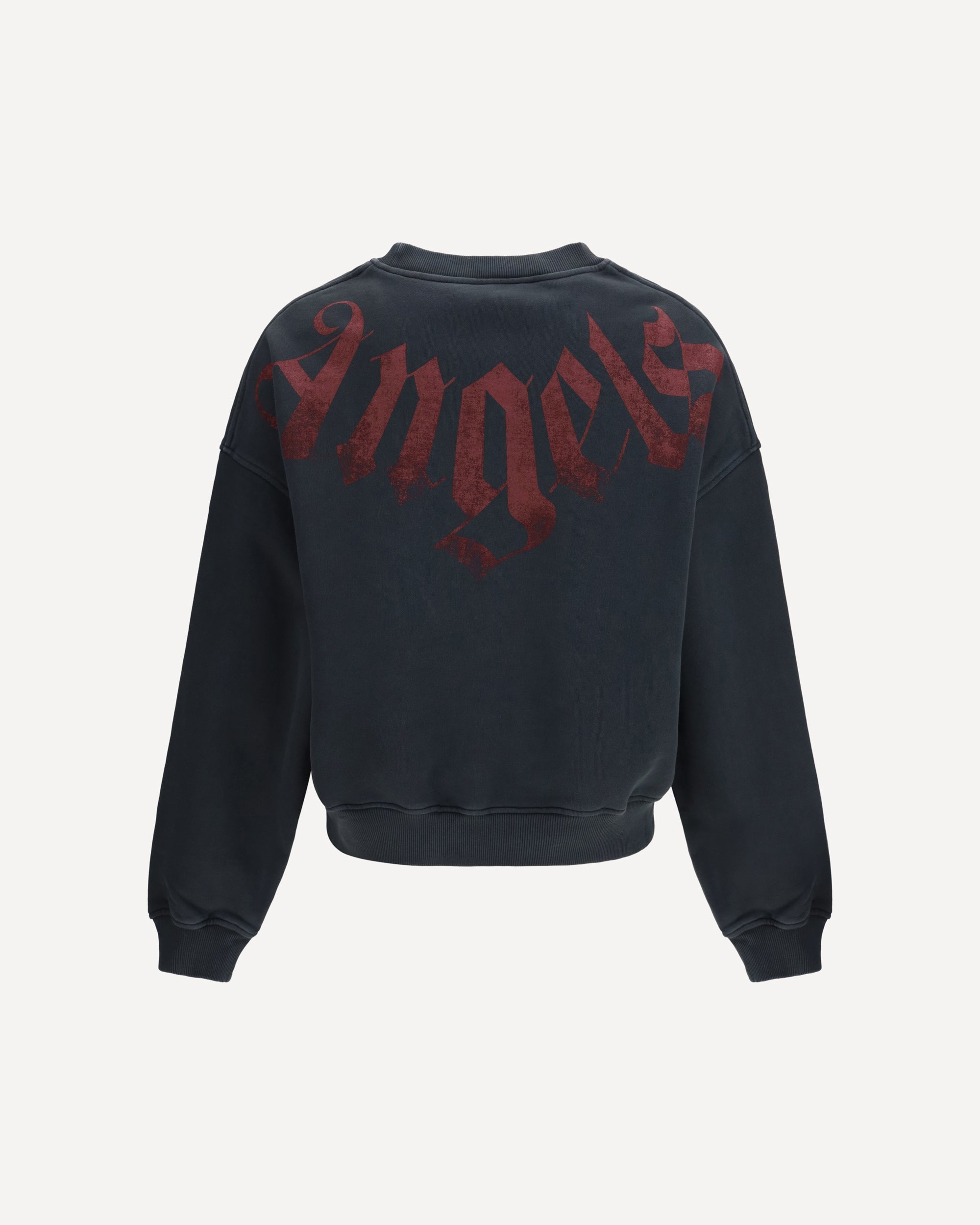 Big Neck Logo Sweatshirt - alternate view