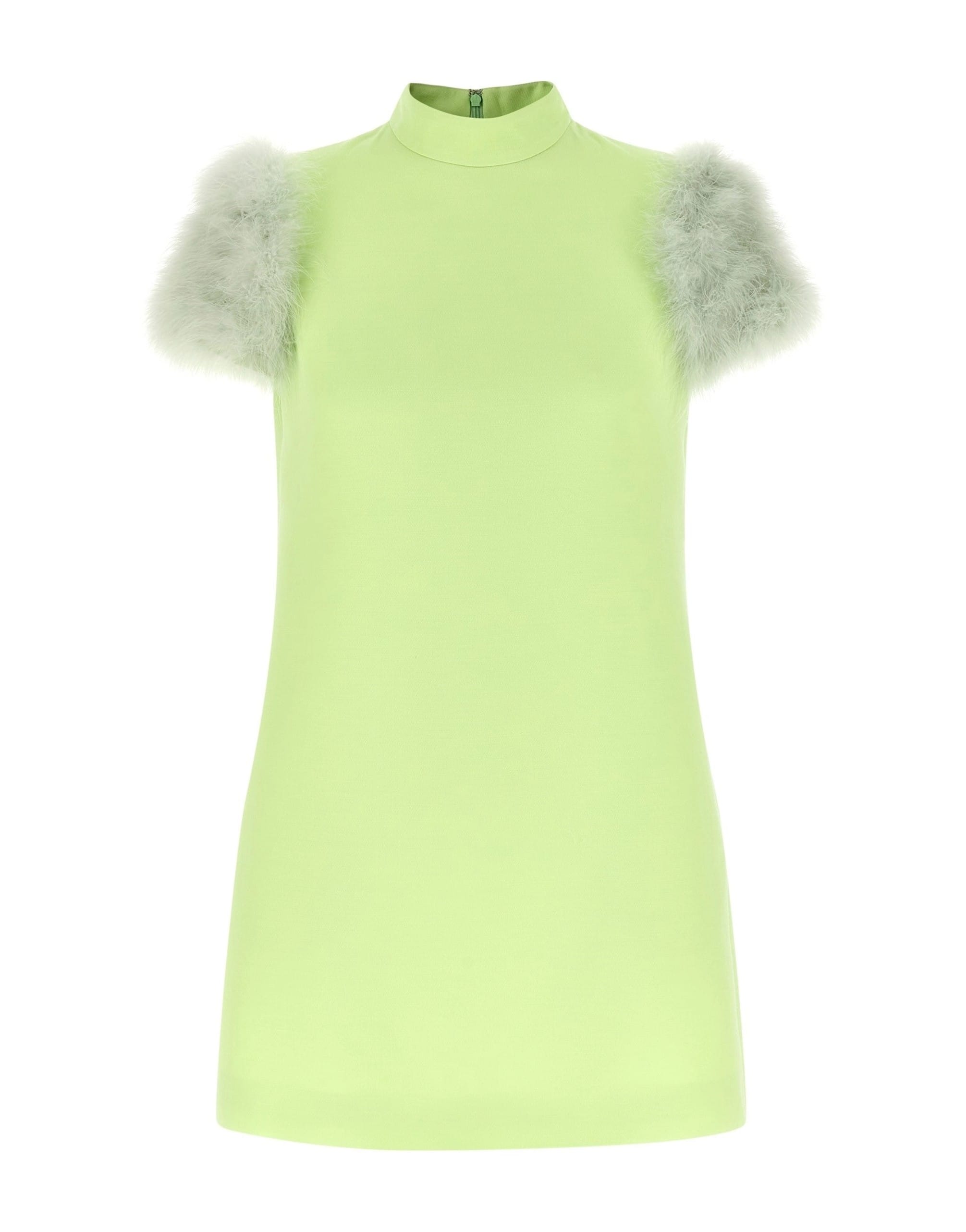 Valentino Garavani Feather Mini Dress