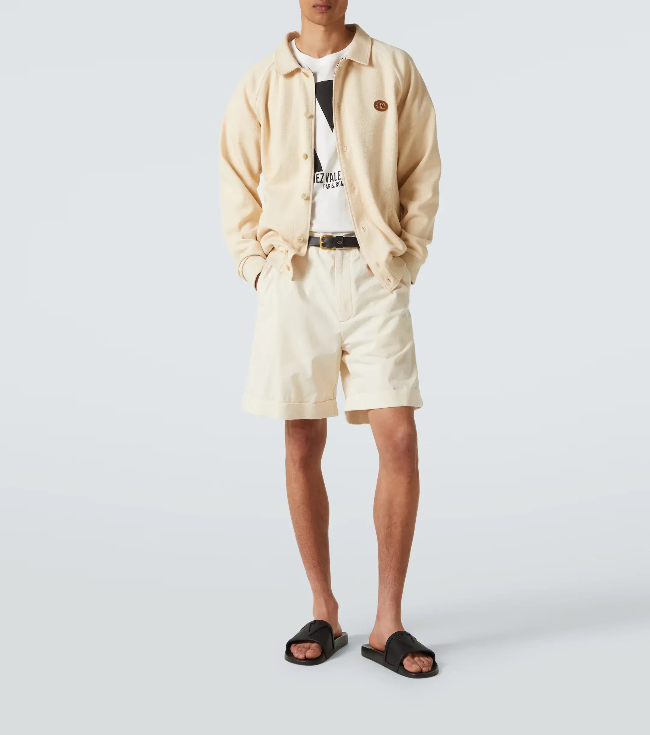 VLogo Slides - alternate view