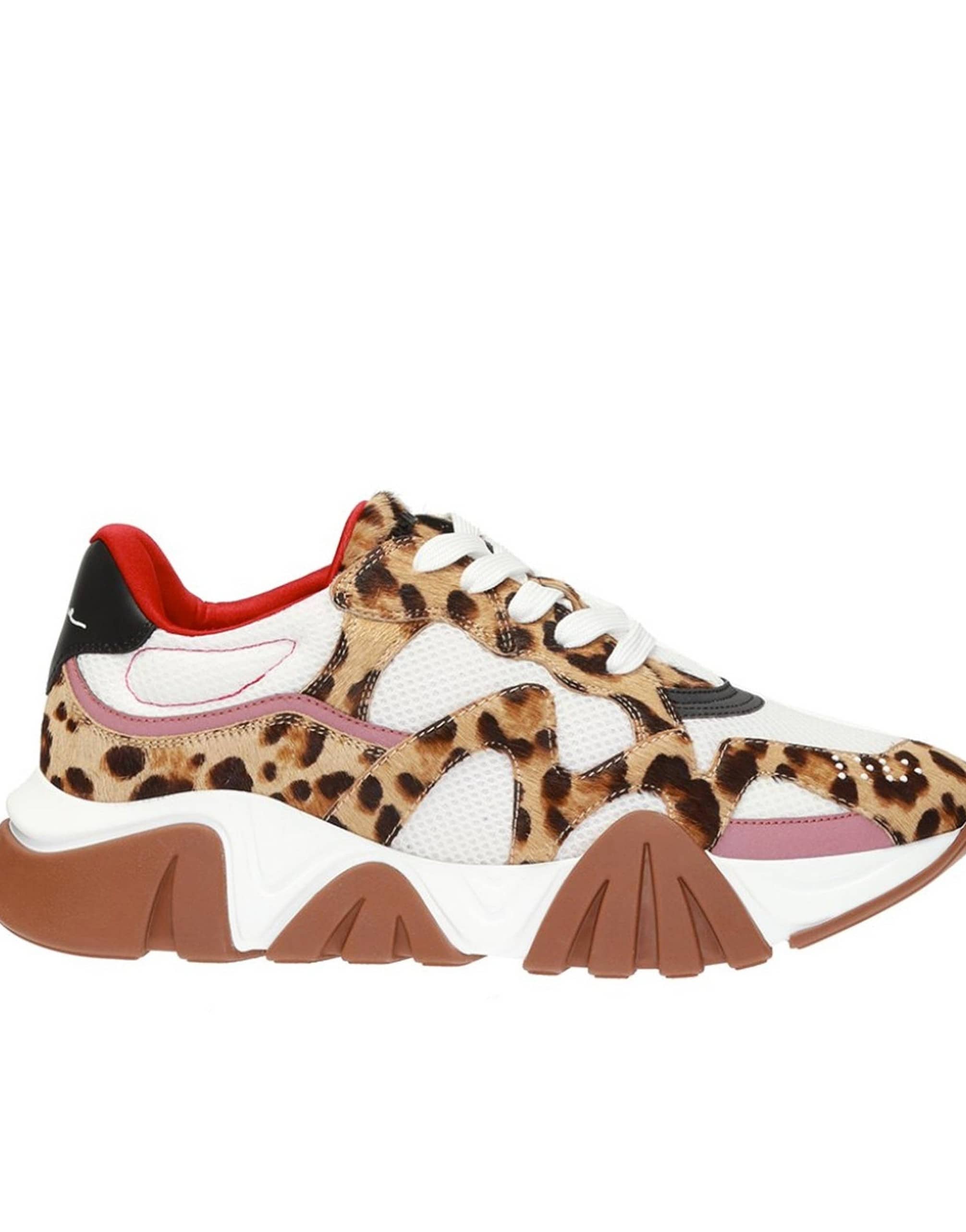 Versace Squalo Leopard Sneakers