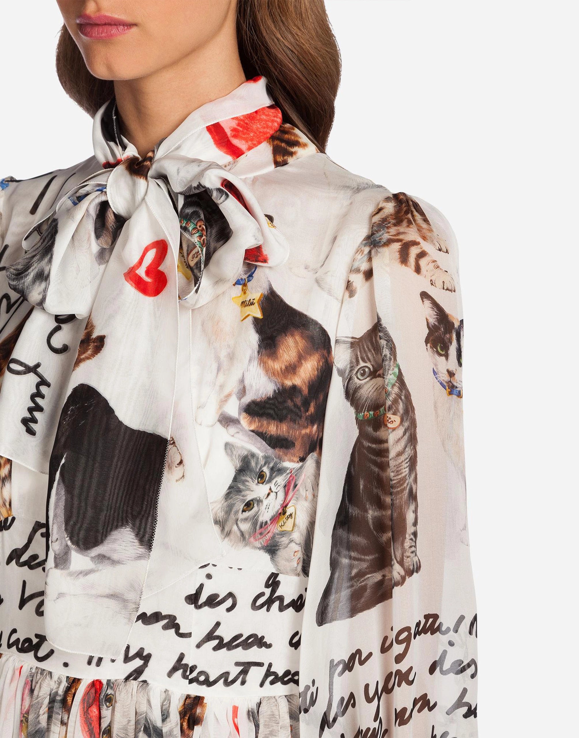Dolce & Gabbana Cat-Print Tie-Neck Chiffon Gown
