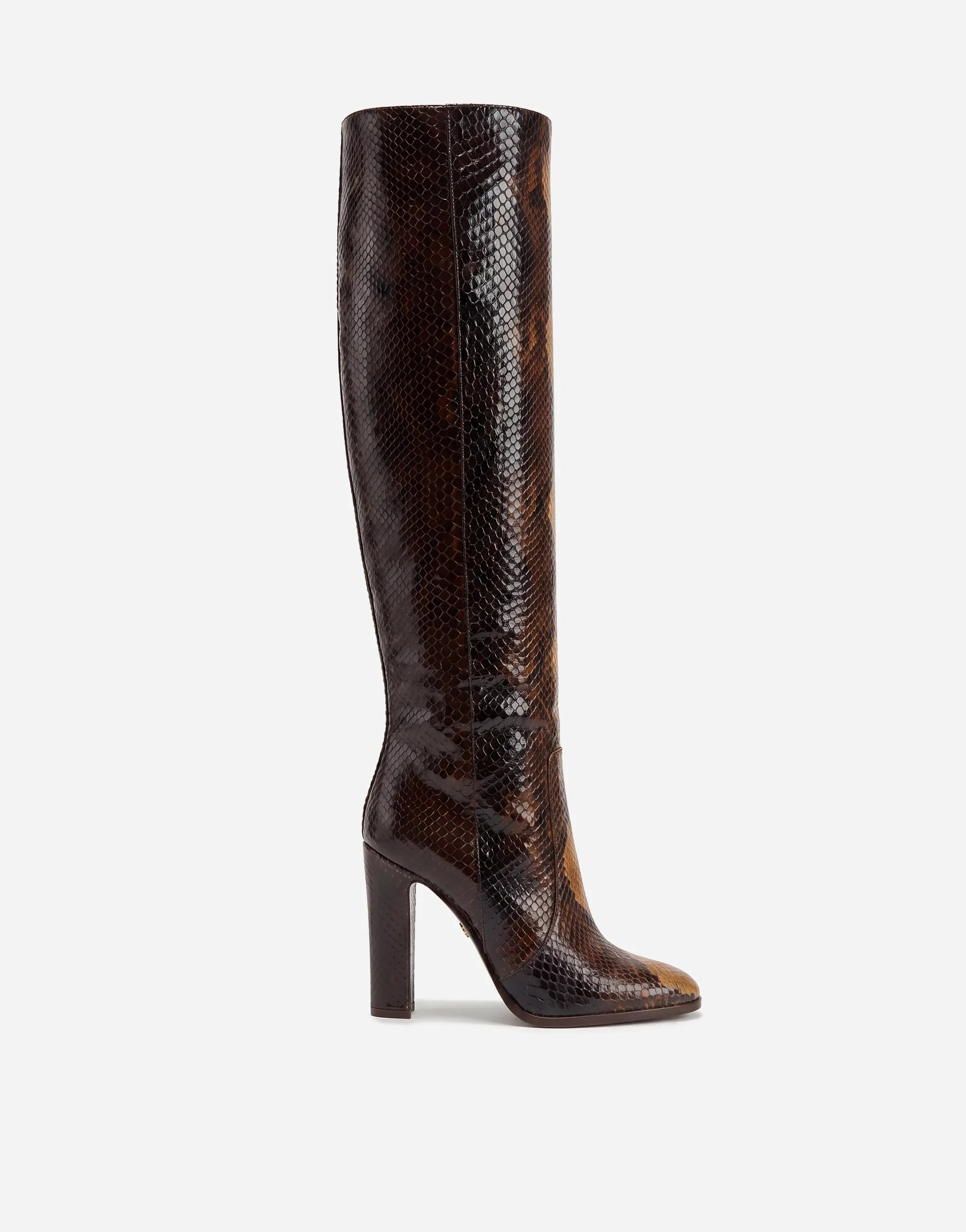 Dolce & Gabbana Knee High Python Boots