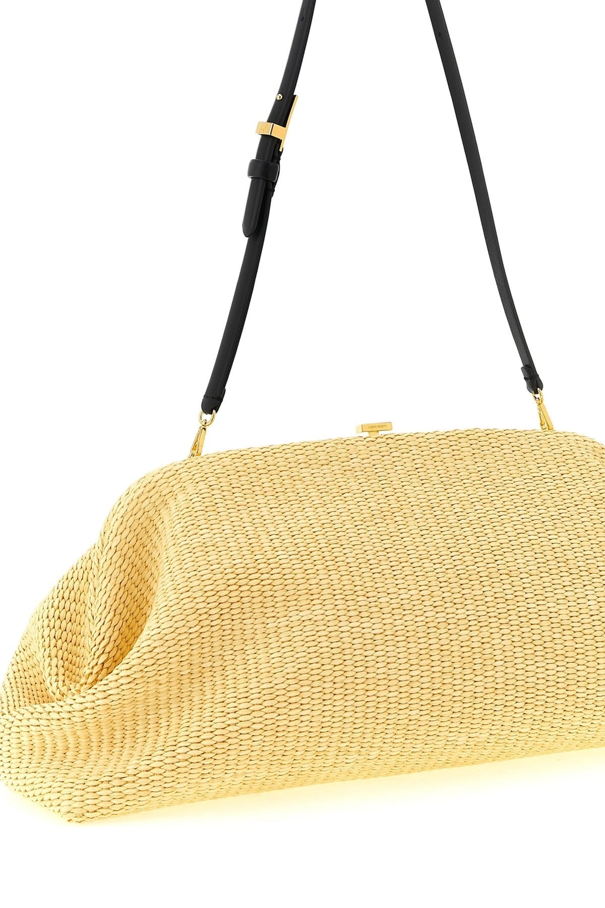 Alberta Ferretti Alberta Ferretti Maxi Pouch
