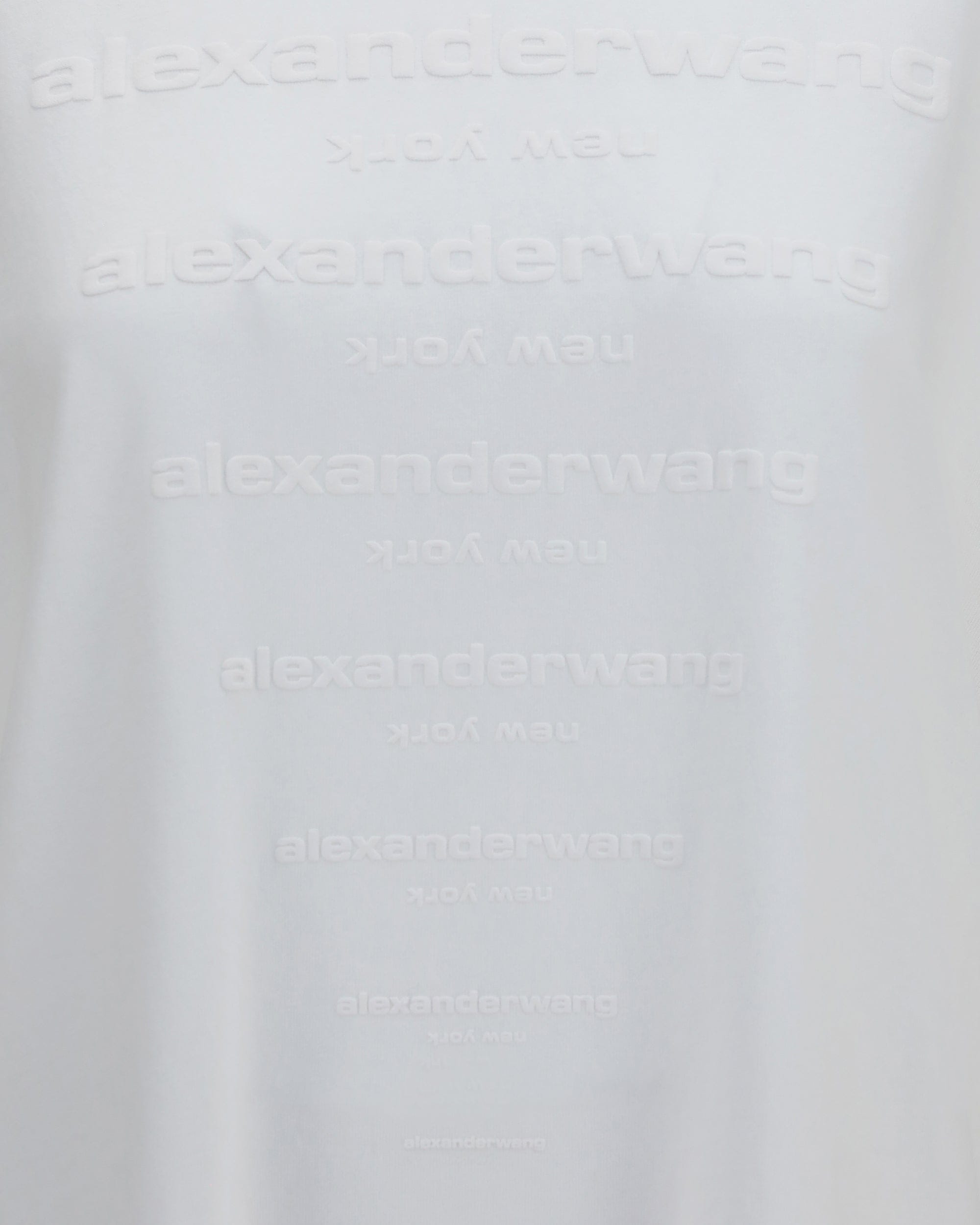 Alexander Wang Gradient Logo T-Shirt | Sendegaro