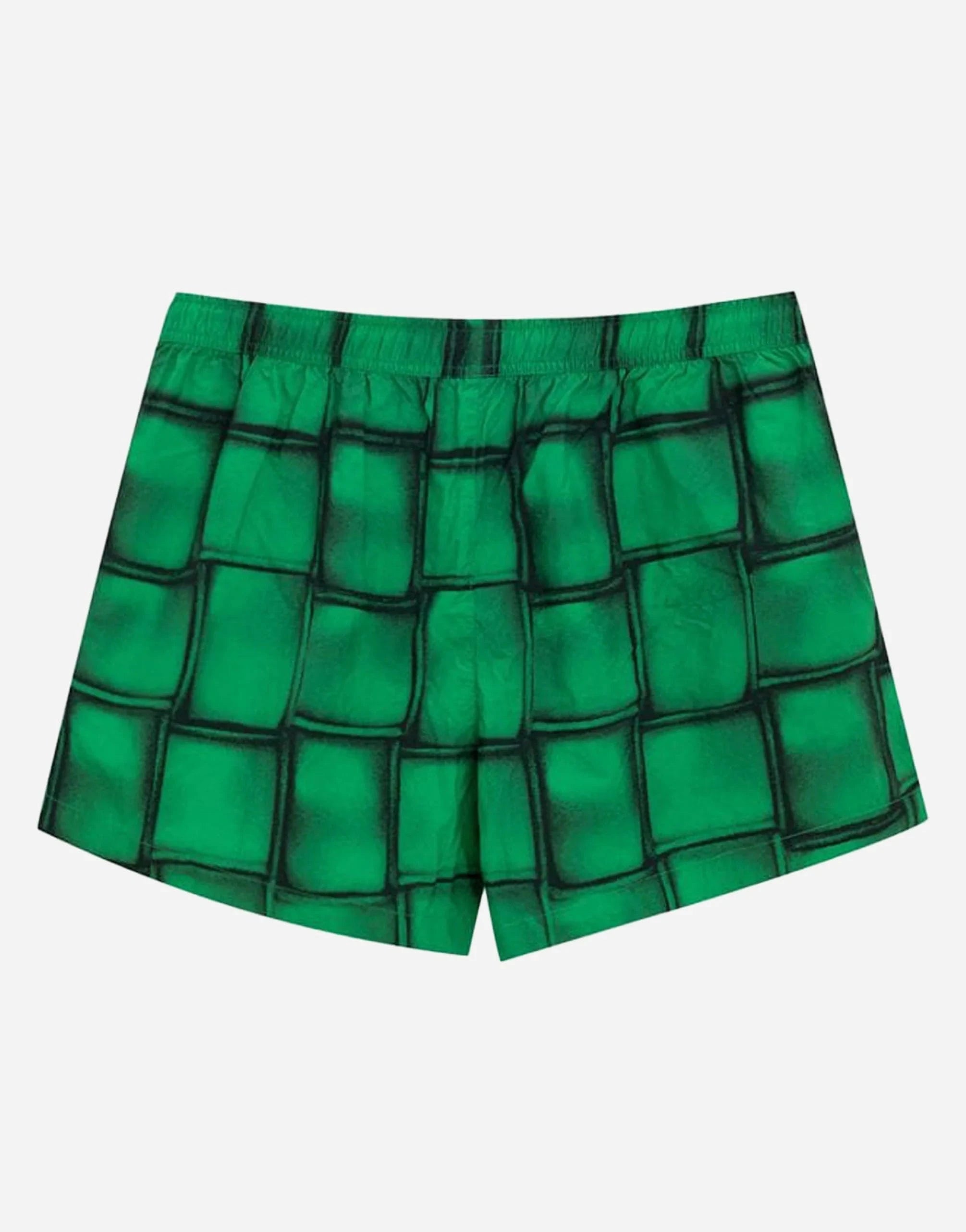 Bottega Veneta Cassette Print Swim Shorts