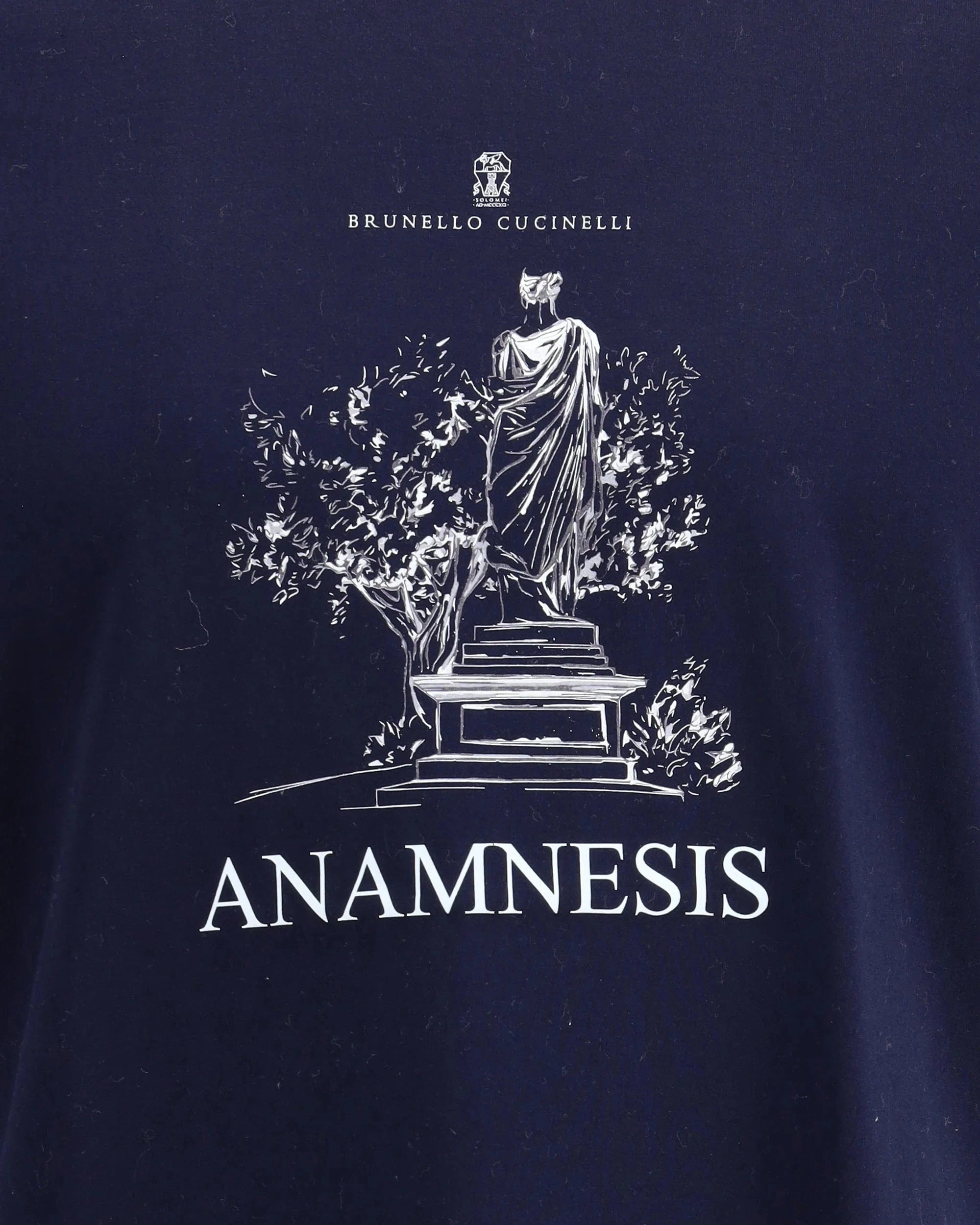 Brunello Cucinelli Blue Anamnesis-Print T-Shirt