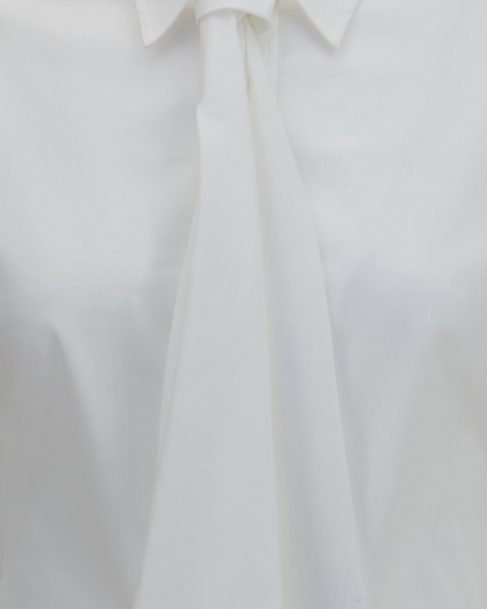 Brunello Cucinelli Brunello Cucinelli Cotton Blend Shirt With Tie