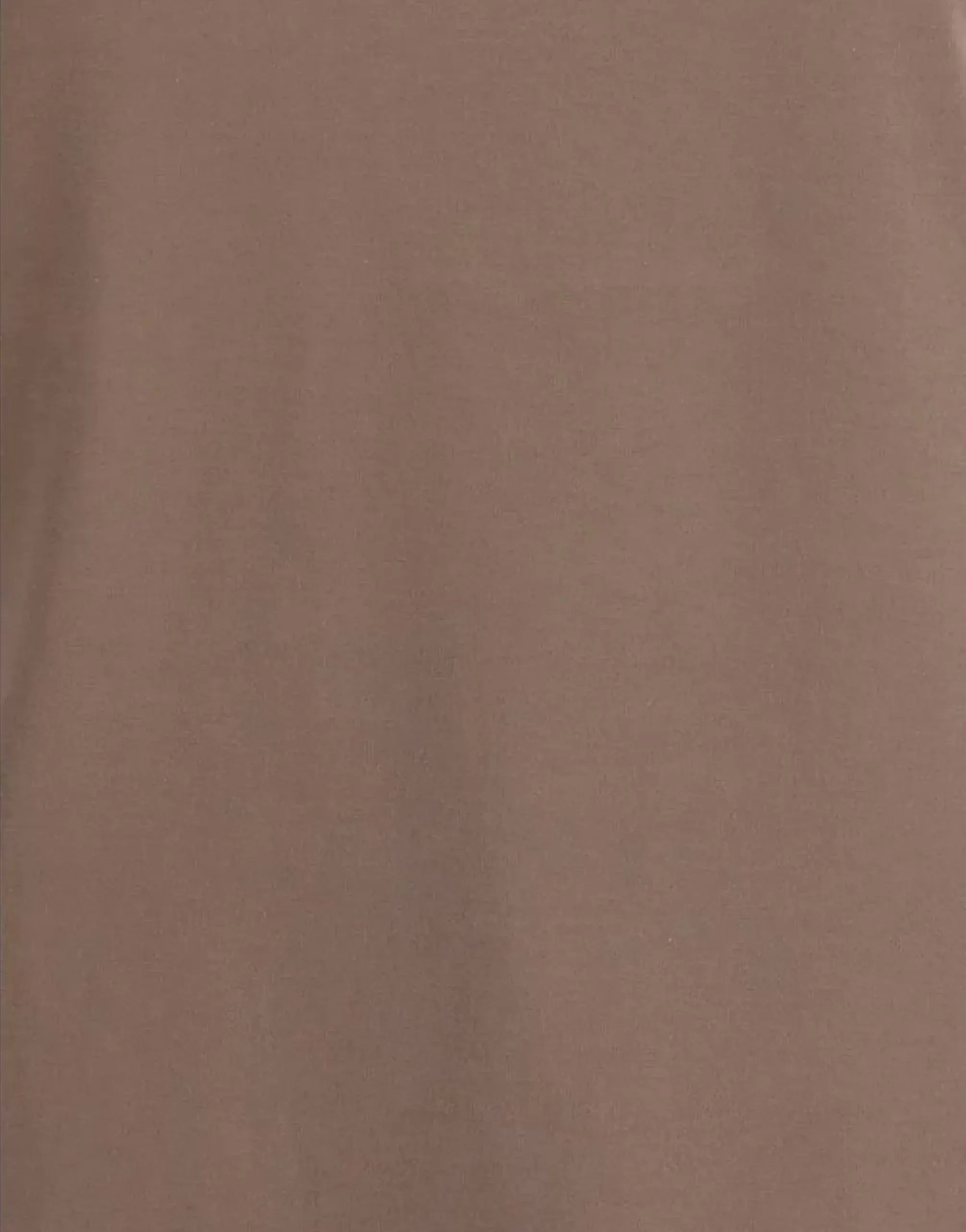 Brunello Cucinelli Jersey Monili Cotton T-Shirt