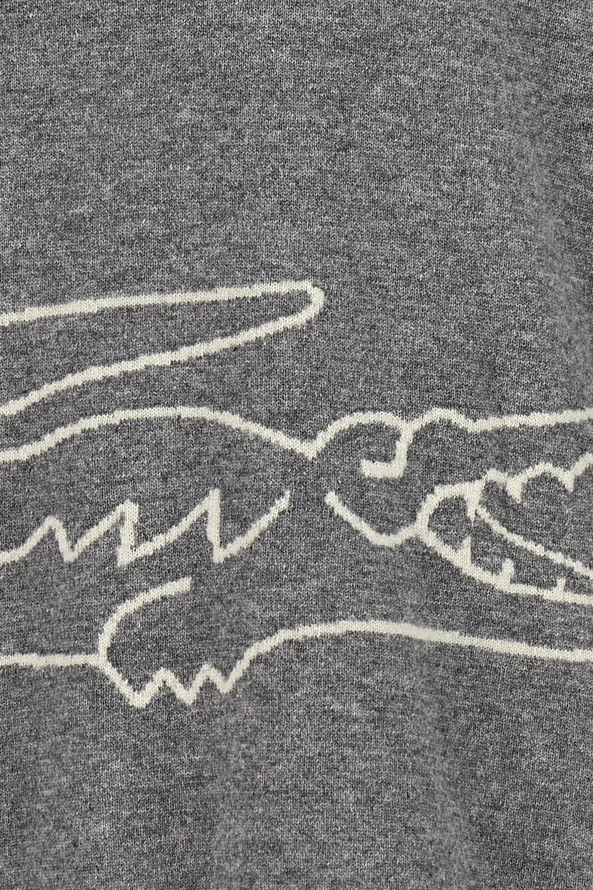 Comme Des Garçons Comme Des Garçons Shirt X Lacoste Sweater