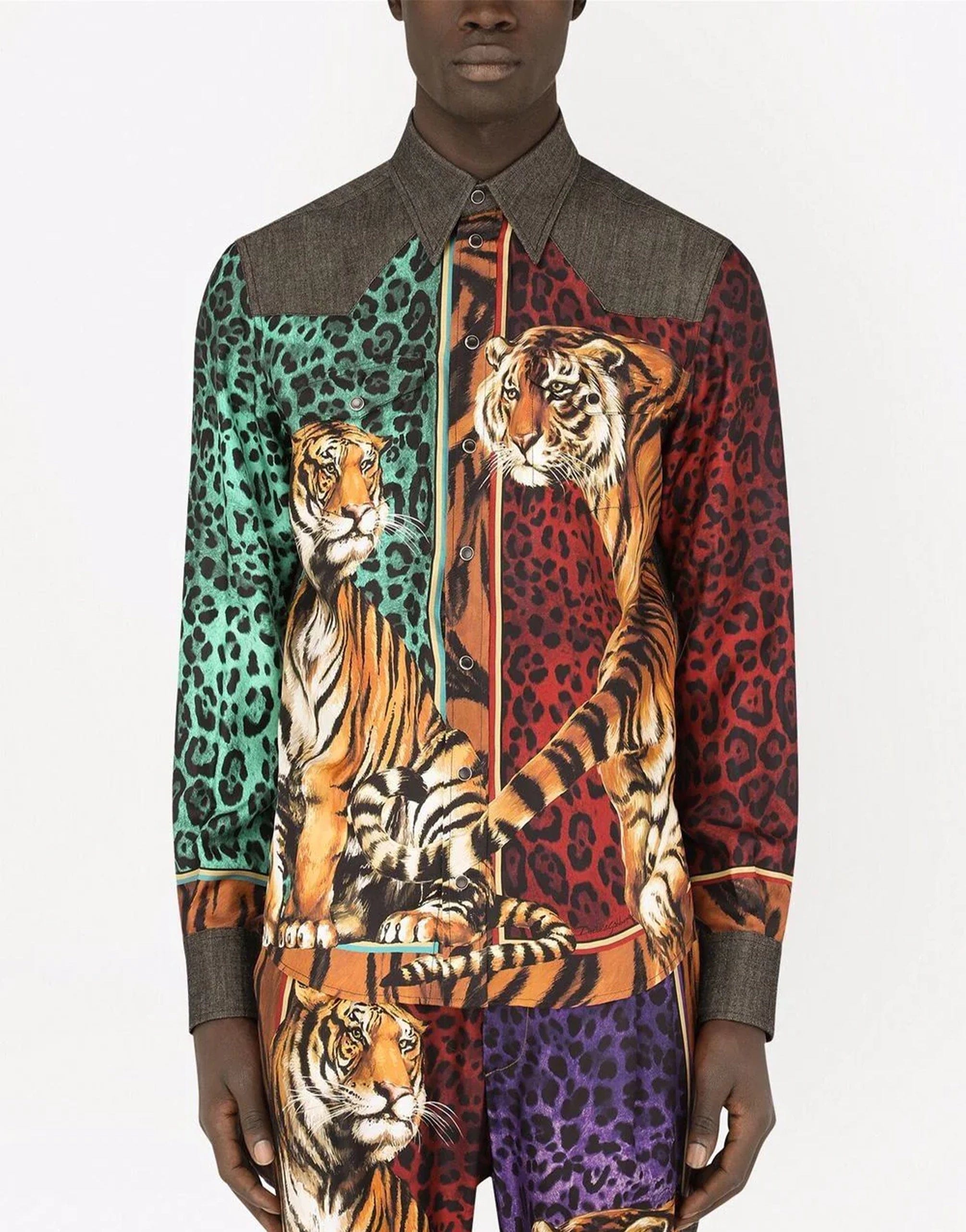 Animal-Print Long-Sleeve Shirt