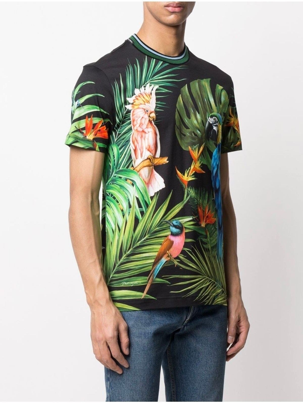 Dolce & Gabbana Bird Print Cotton T-Shirt | Sendegaro FR