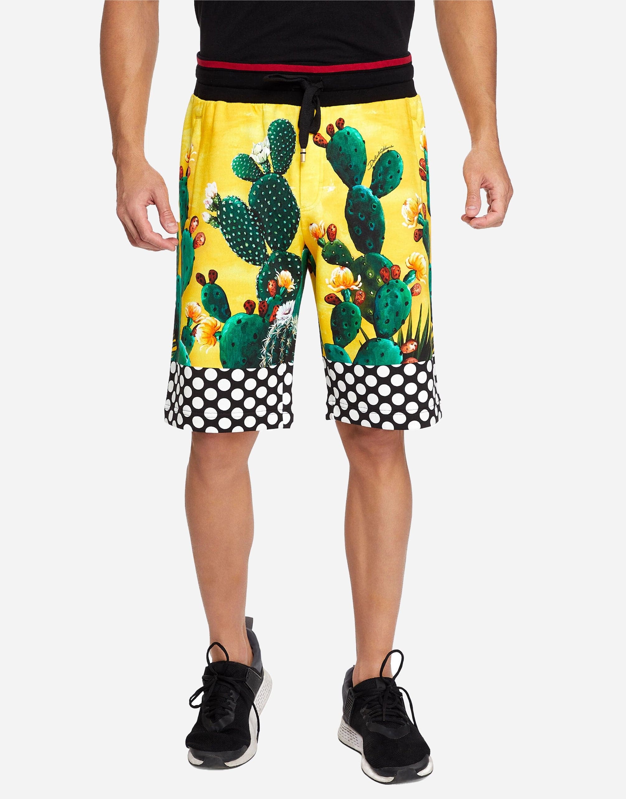 Dolce & Gabbana Cactus-Print Cotton Shorts