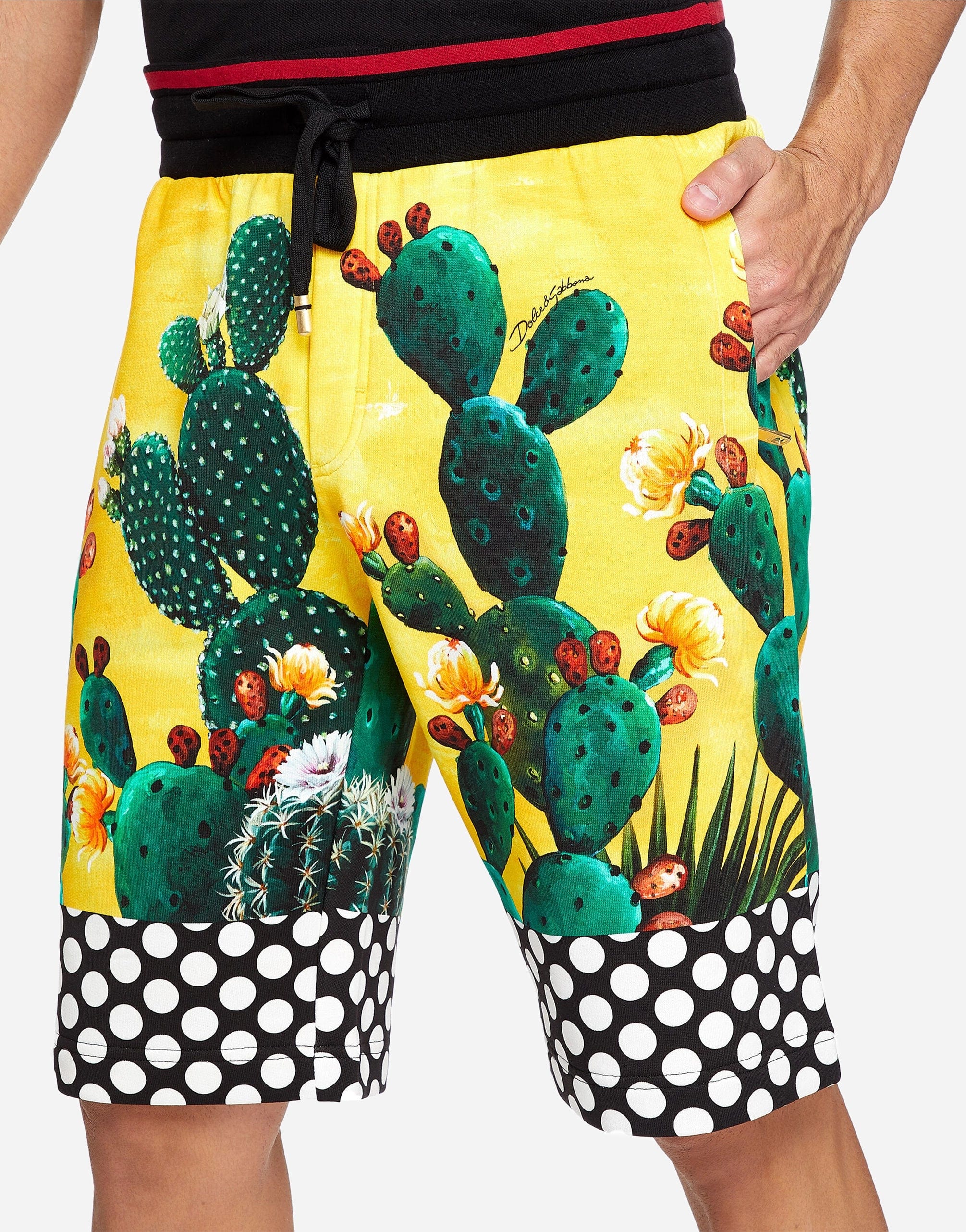 Dolce & Gabbana Cactus-Print Cotton Shorts