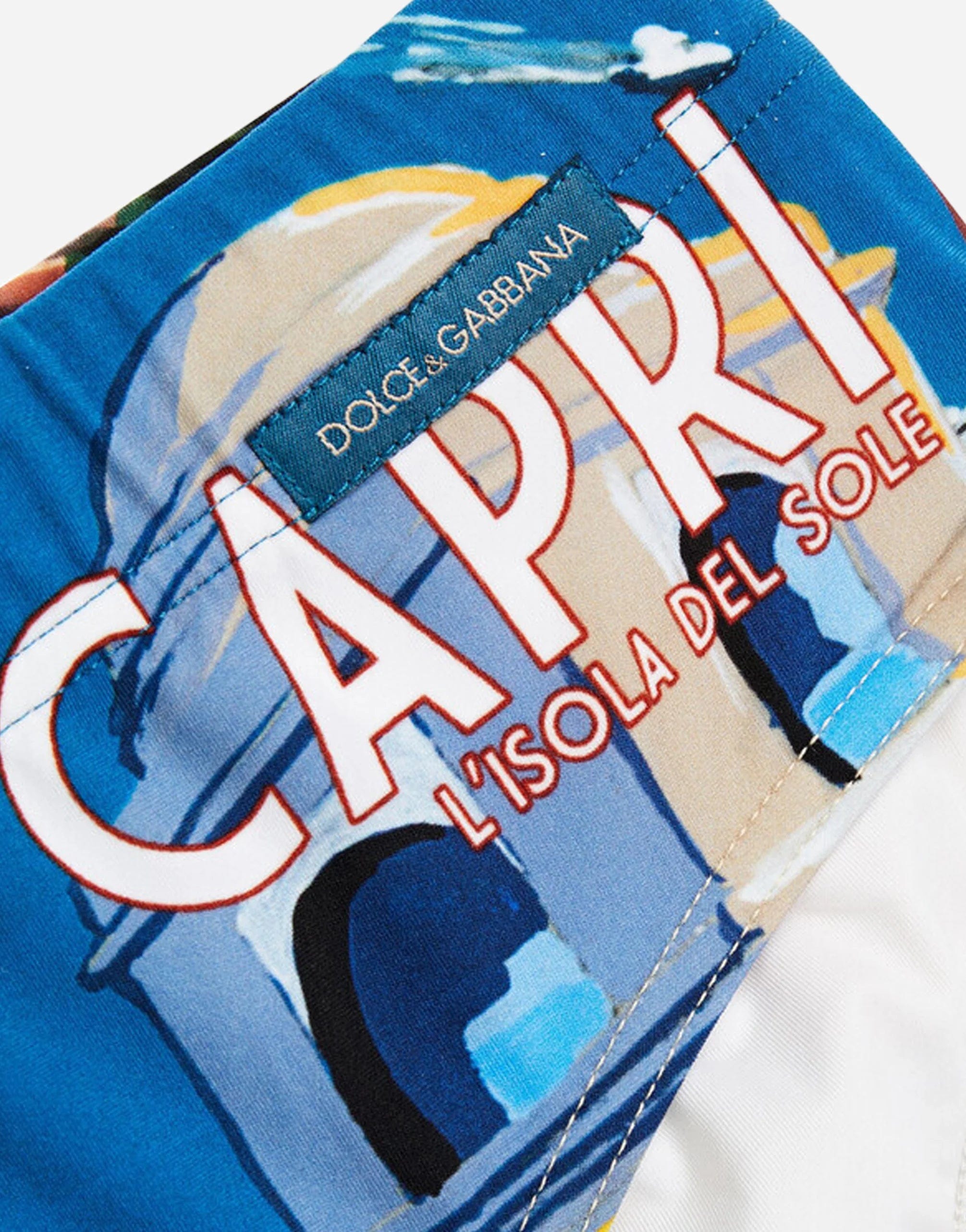Capri Print Swim Brief