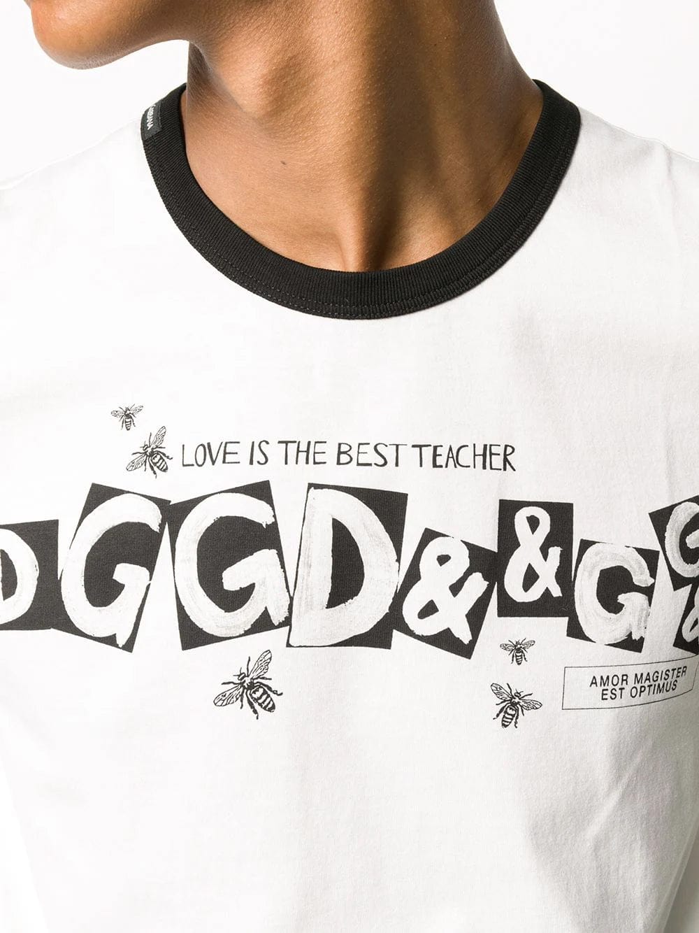 Dolce & Gabbana Dolce & Gabbana Logo Print Crewneck T-shirt