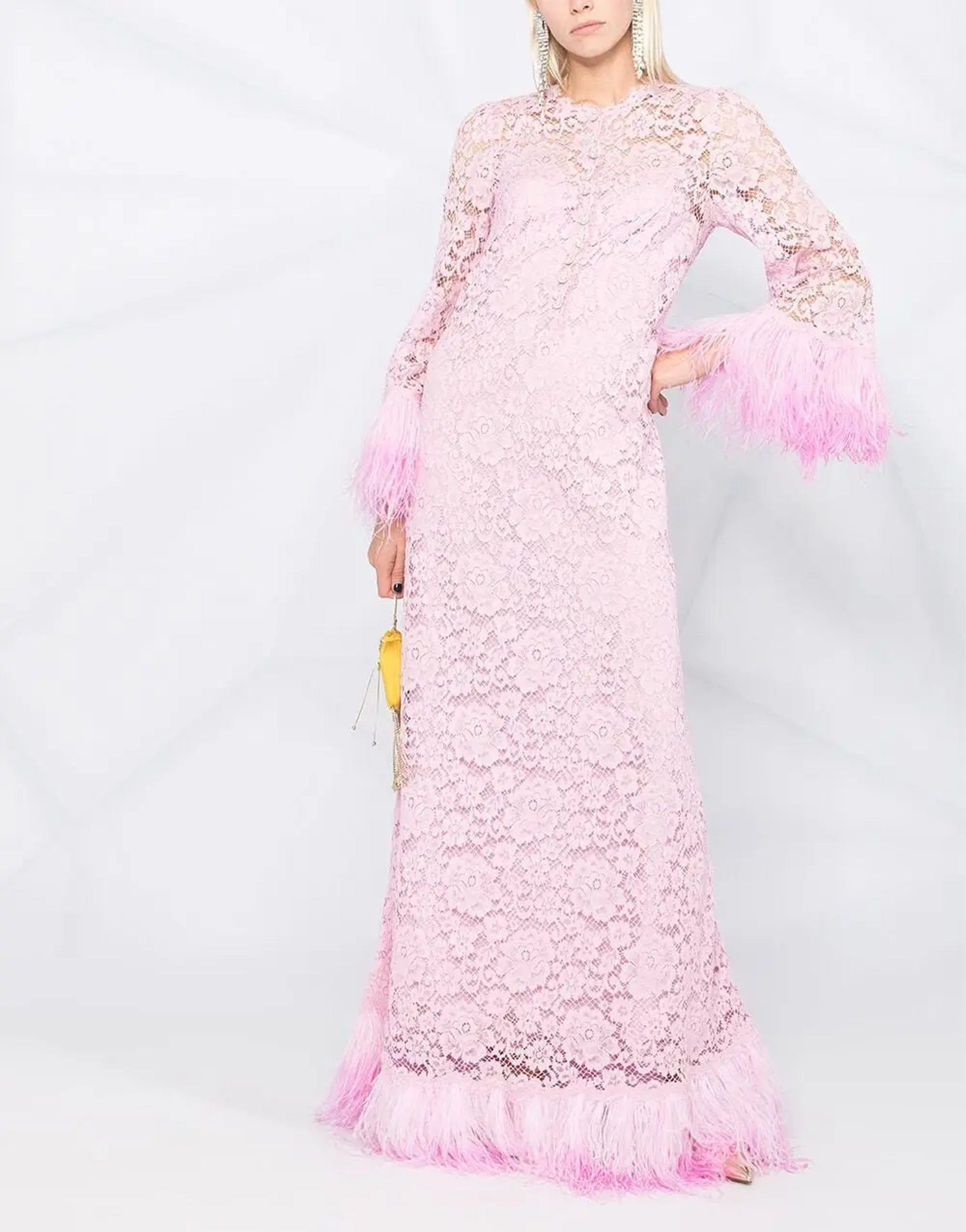 Dolce & Gabbana Embellished Lace Long Dress With Feathers