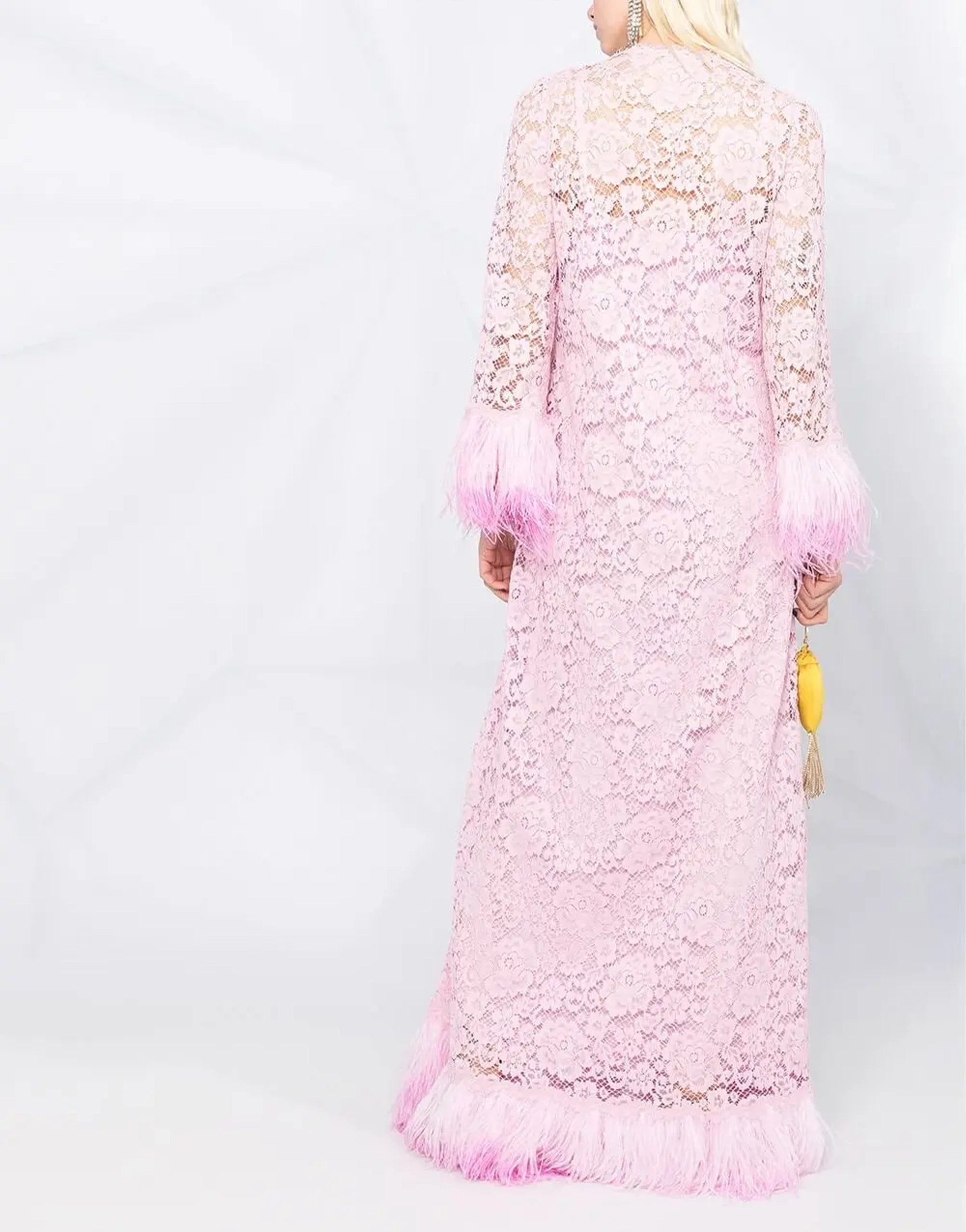 Dolce & Gabbana Embellished Lace Long Dress With Feathers